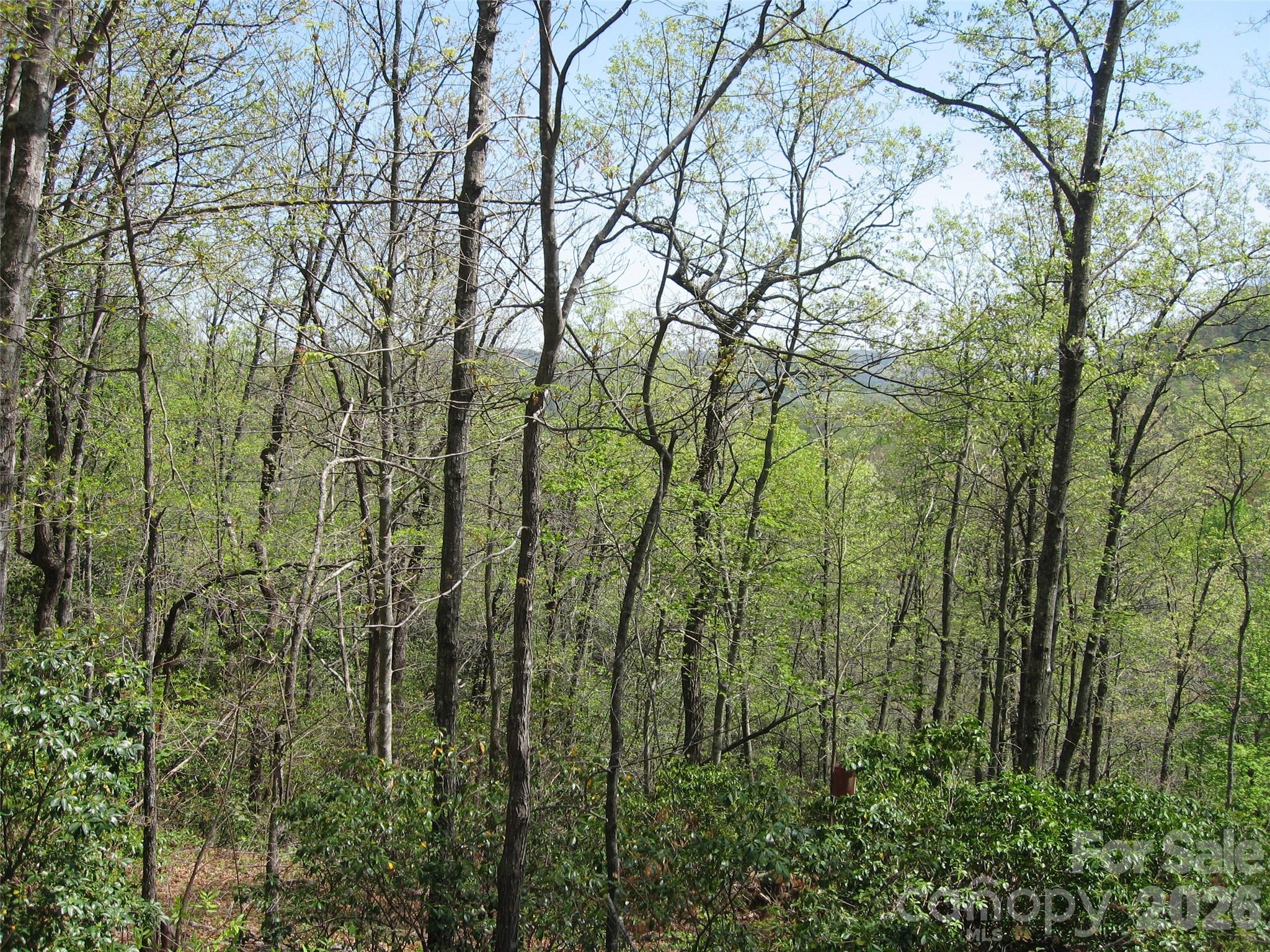 313 Line Runner Ridge Road Property Photo 1