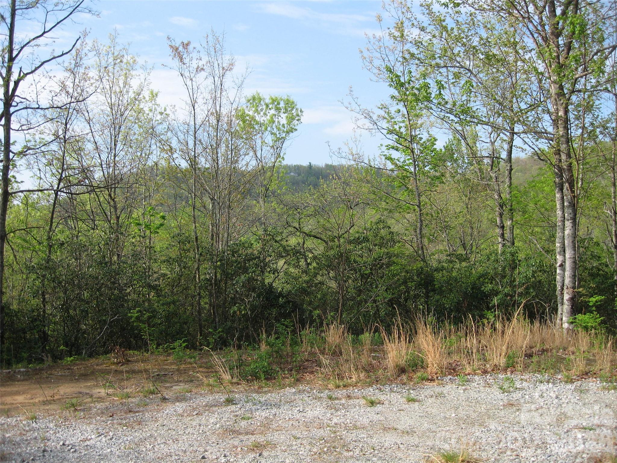 313 Line Runner Ridge Road Property Photo 4