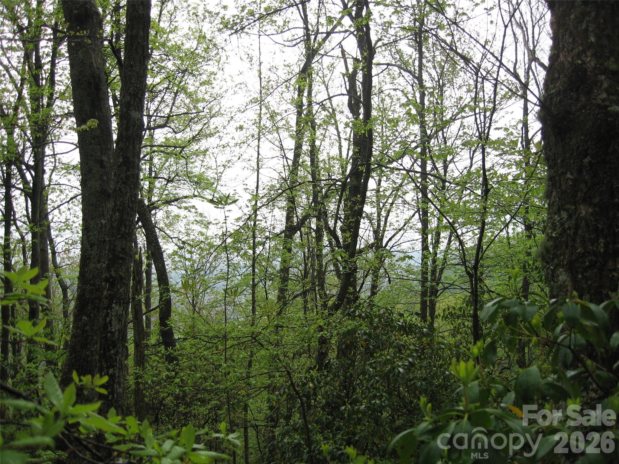 313 Line Runner Ridge Road Property Photo 10