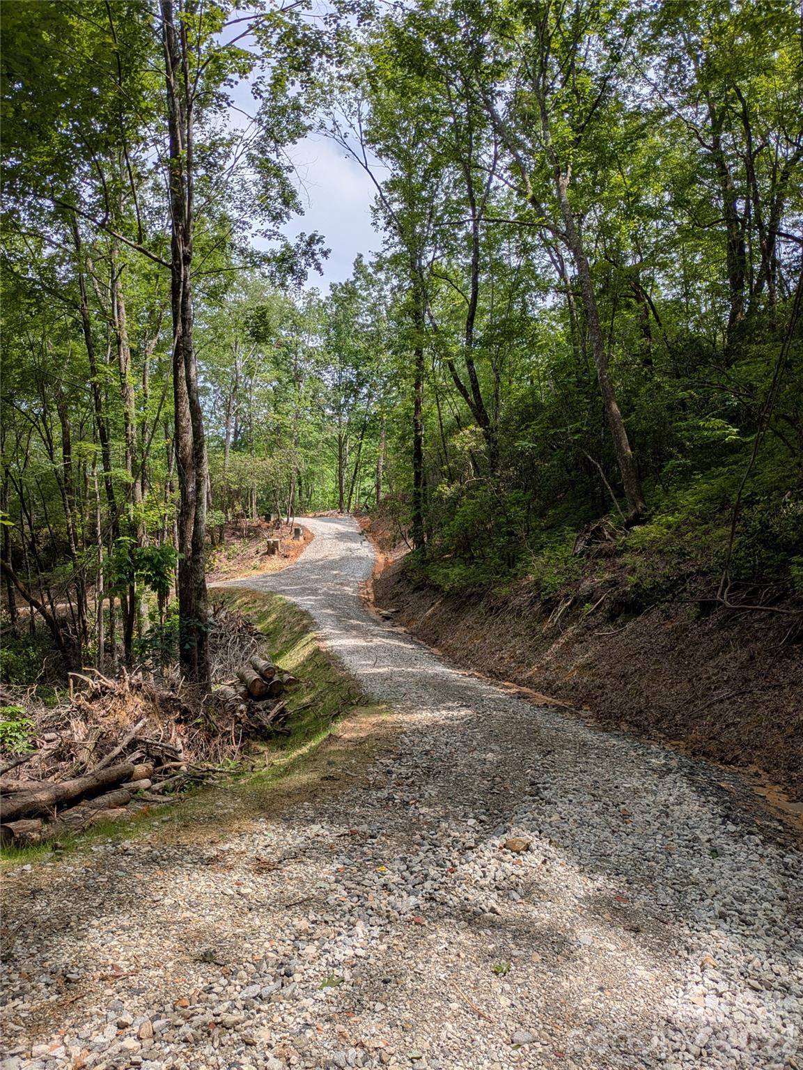 313 Line Runner Ridge Road Property Photo 11