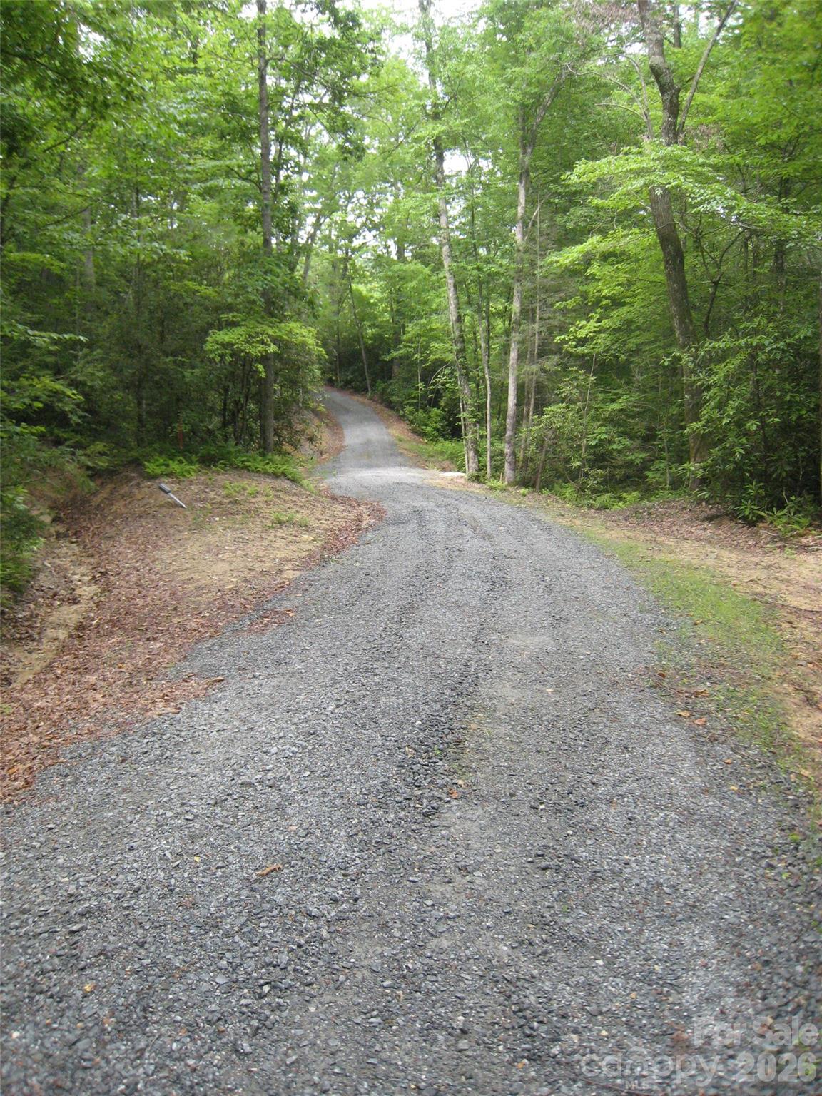 313 Line Runner Ridge Road Property Photo 13