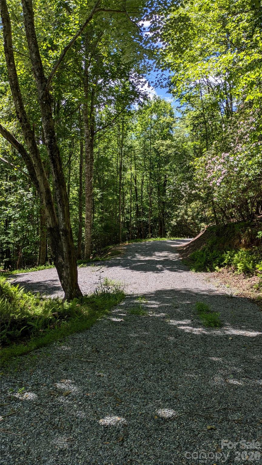 313 Line Runner Ridge Road Property Photo 15