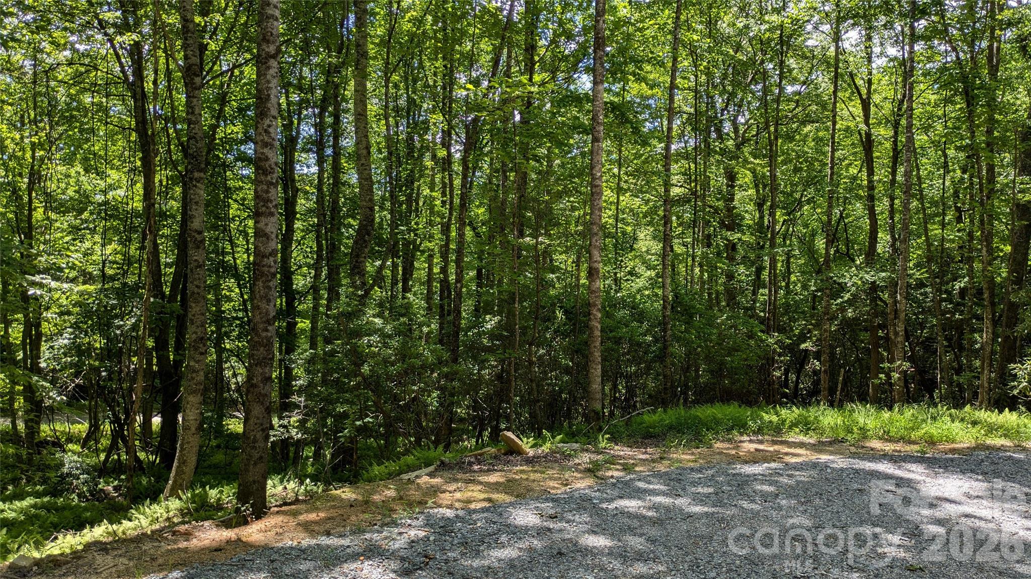 313 Line Runner Ridge Road Property Photo 17