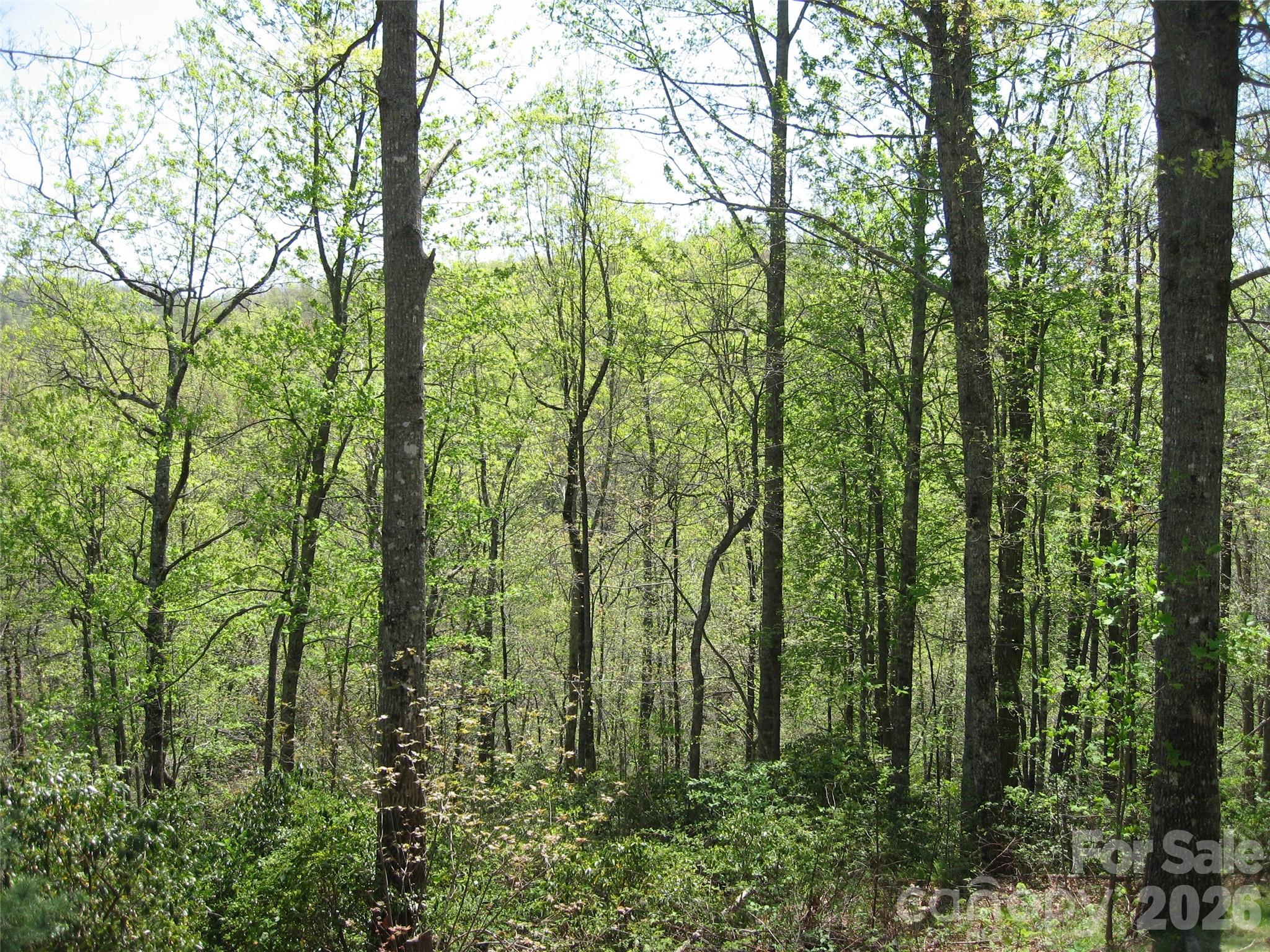 313 Line Runner Ridge Road Property Photo 23