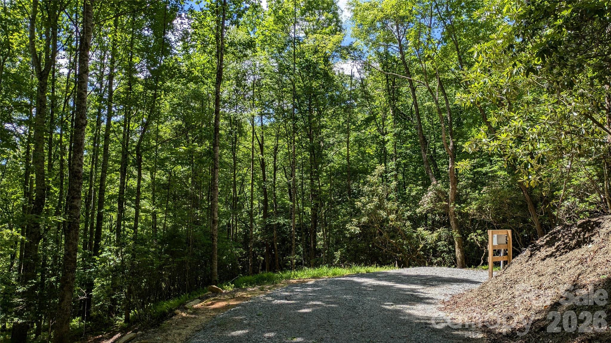 313 Line Runner Ridge Road Property Photo 24