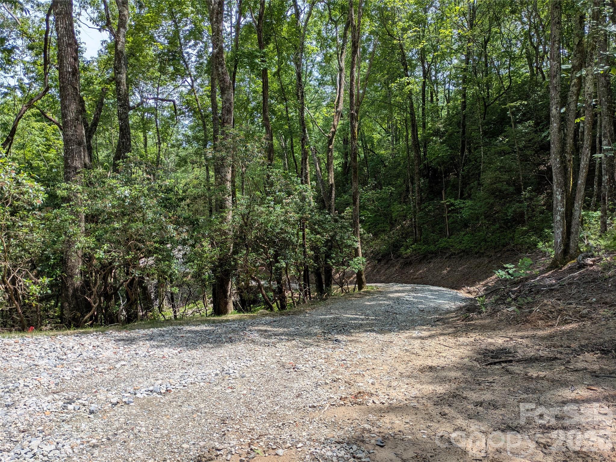 313 Line Runner Ridge Road Property Photo 31