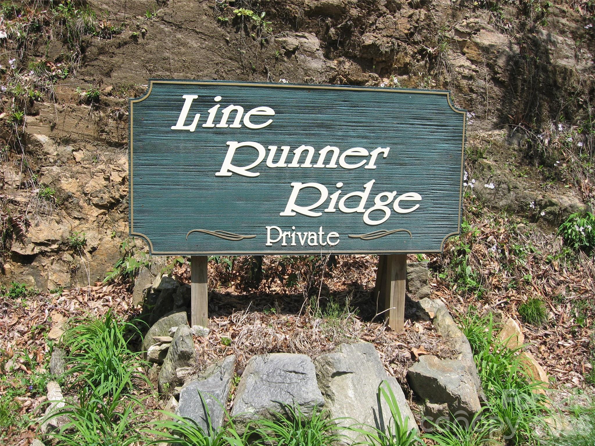 313 Line Runner Ridge Road Property Photo 36