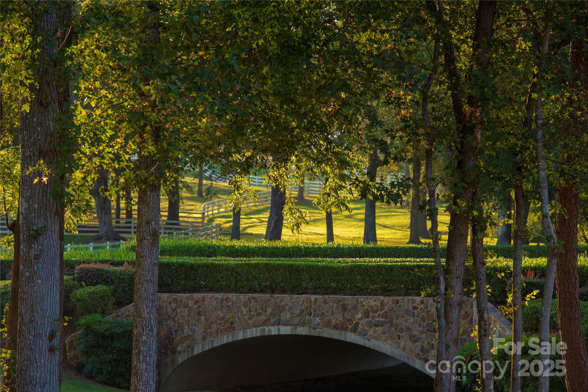 3900 Piaffe Avenue 92 Property Photo 15