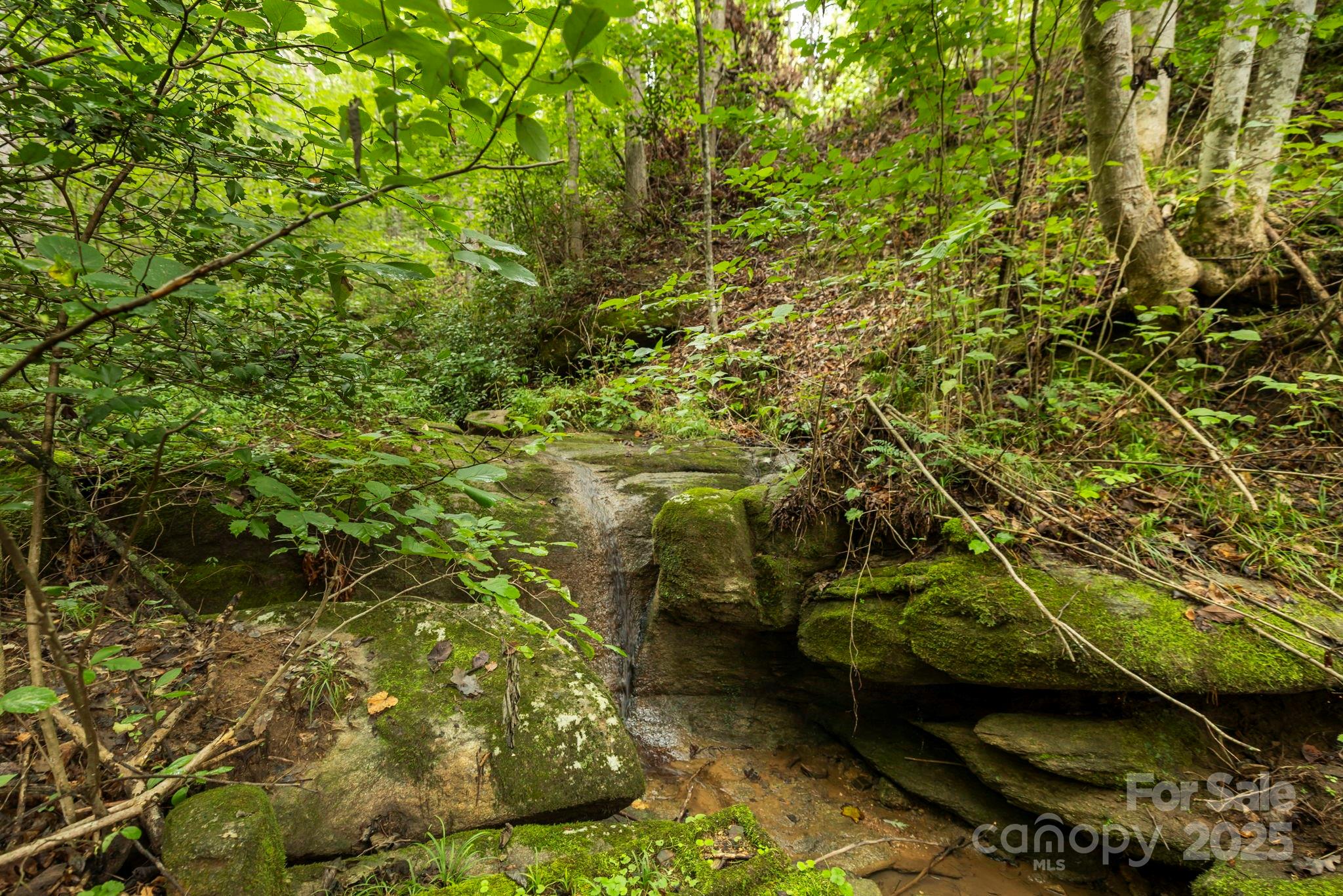 6080 Us 64/74a Highway Property Photo 16