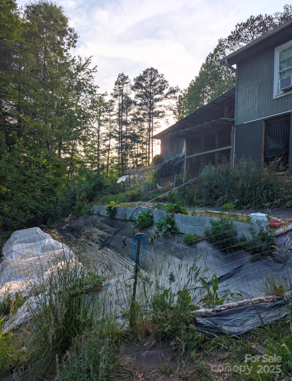 6 Sunrise Valley Property Photo 43