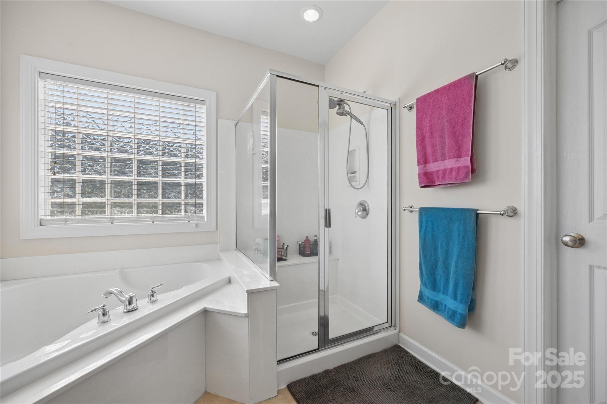 10418 Goosefoot Court Property Photo 23