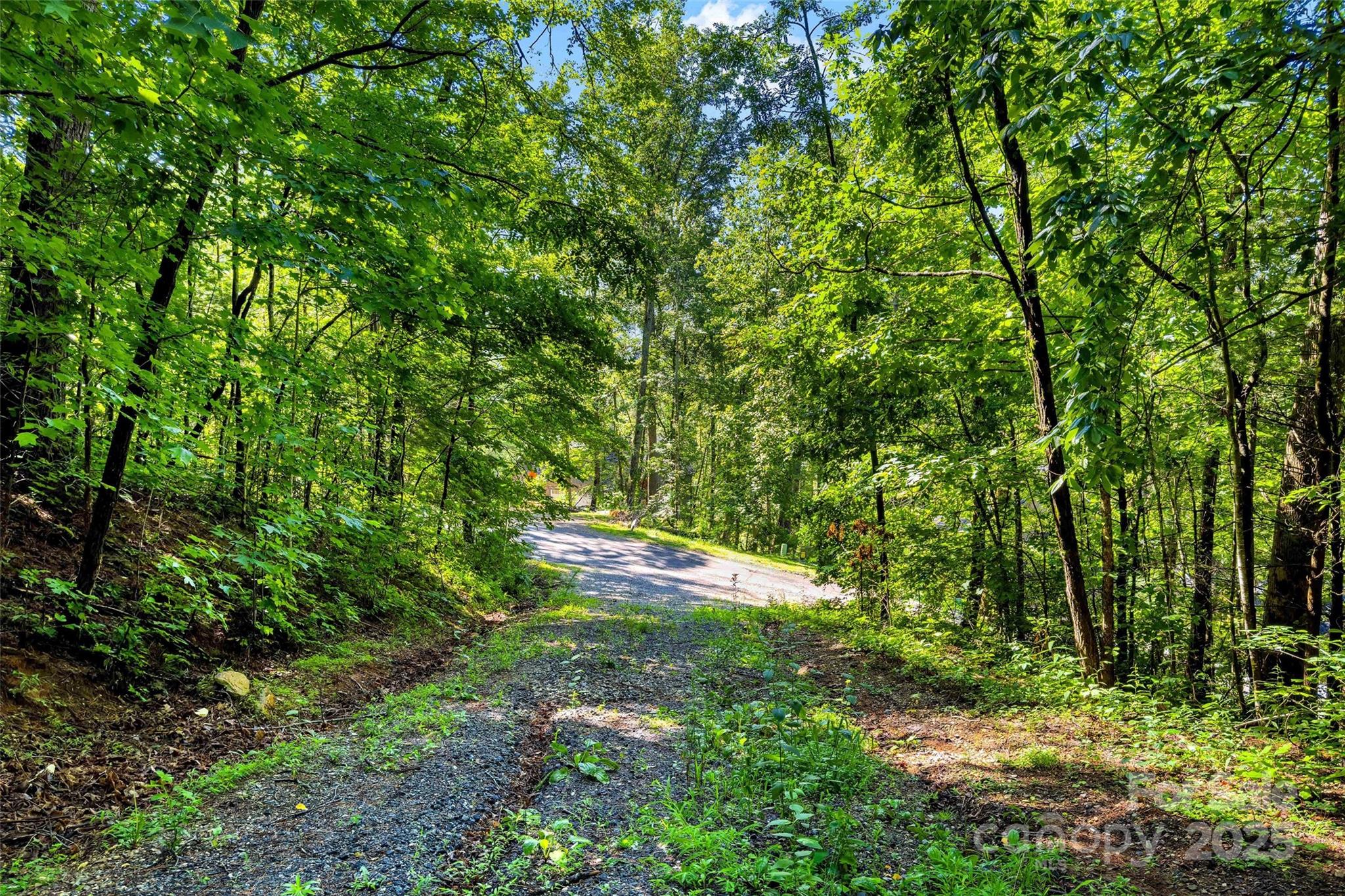 Lot #76 Hunnicut Spur Road Property Photo 2