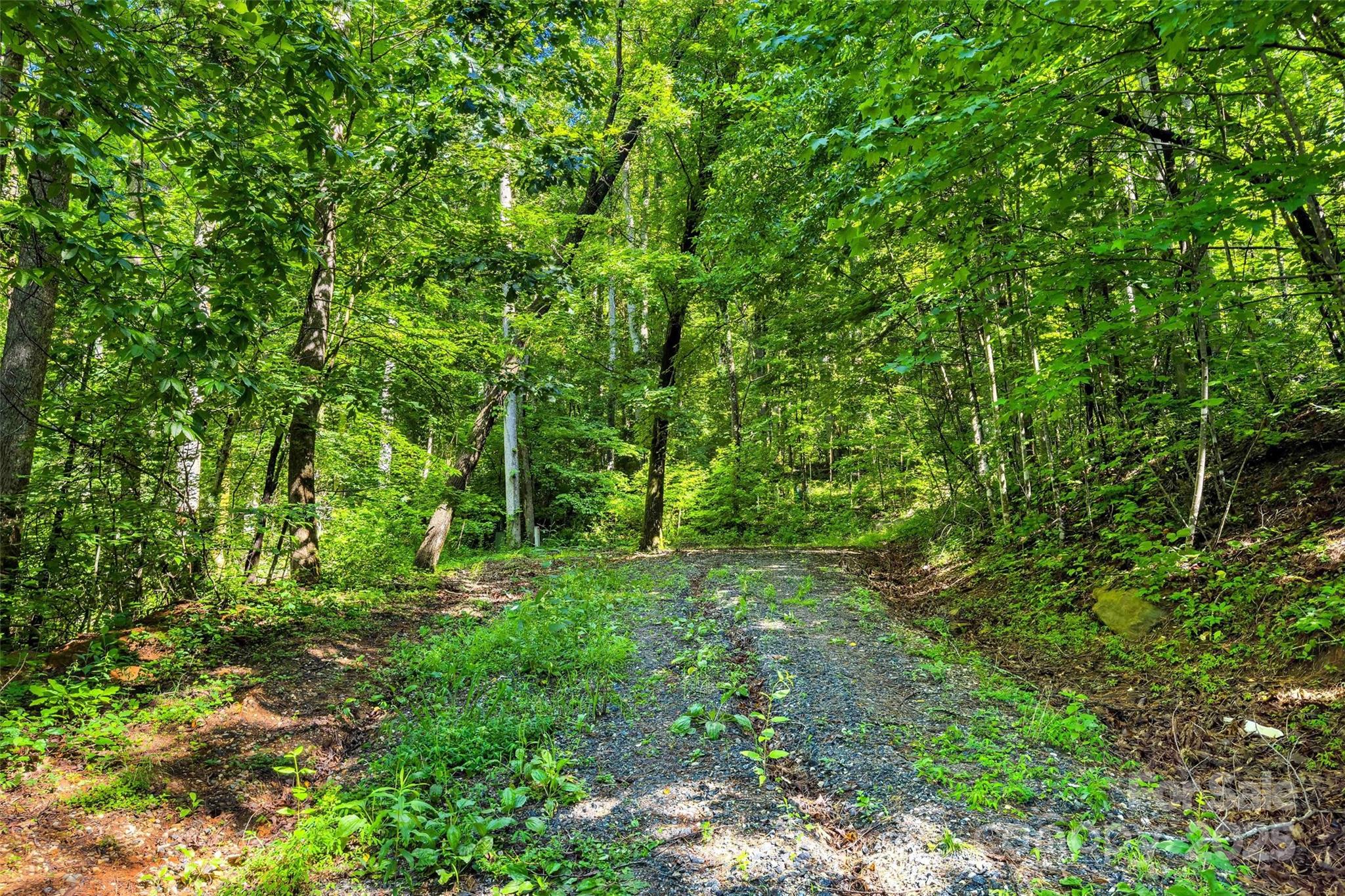 Lot #76 Hunnicut Spur Road Property Photo 3
