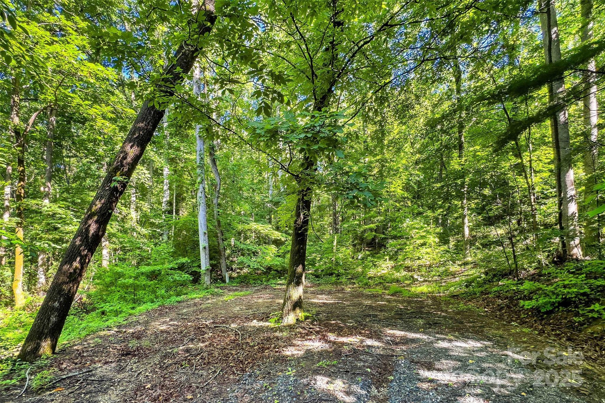 Lot #76 Hunnicut Spur Road Property Photo 4