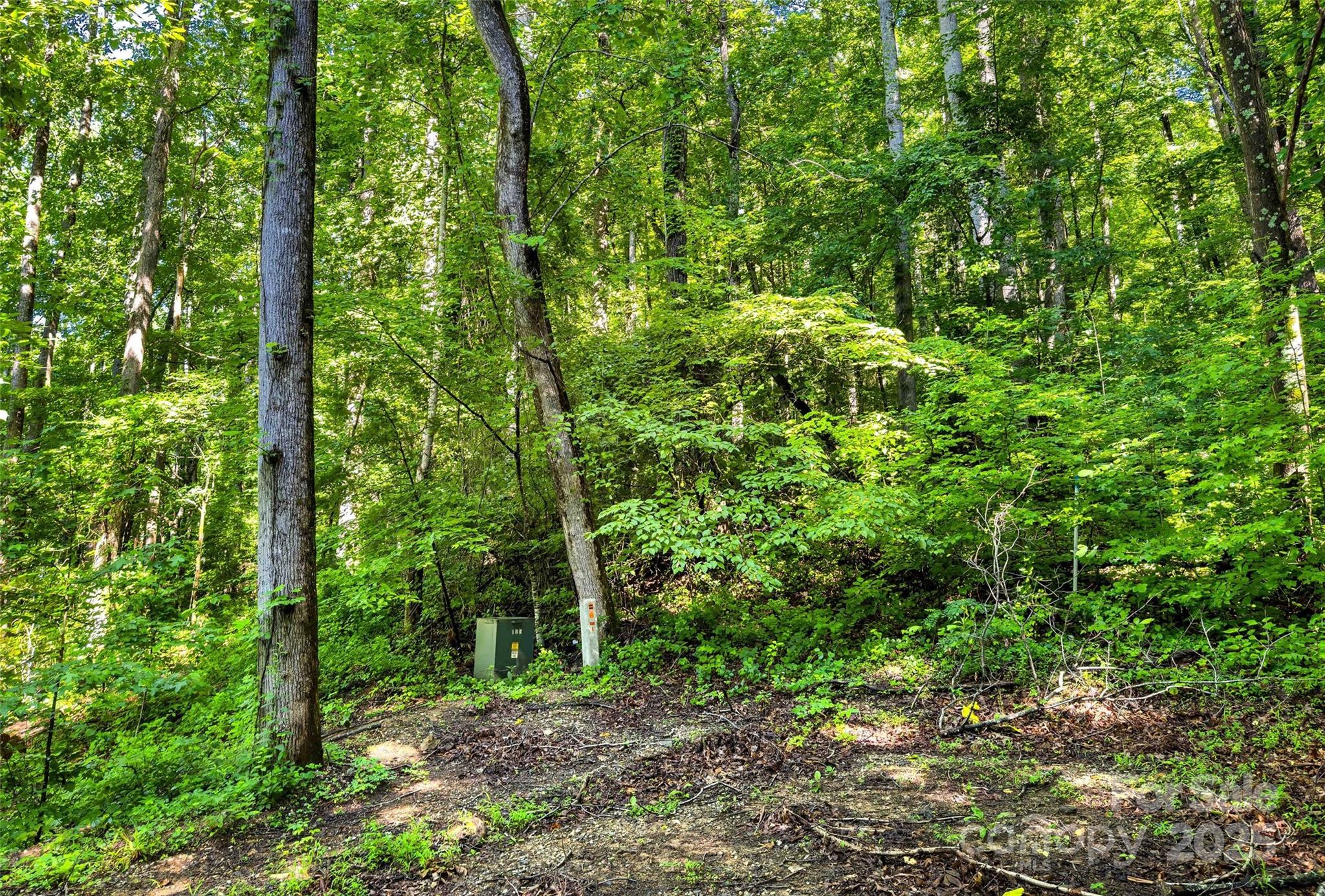 Lot #76 Hunnicut Spur Road Property Photo 5