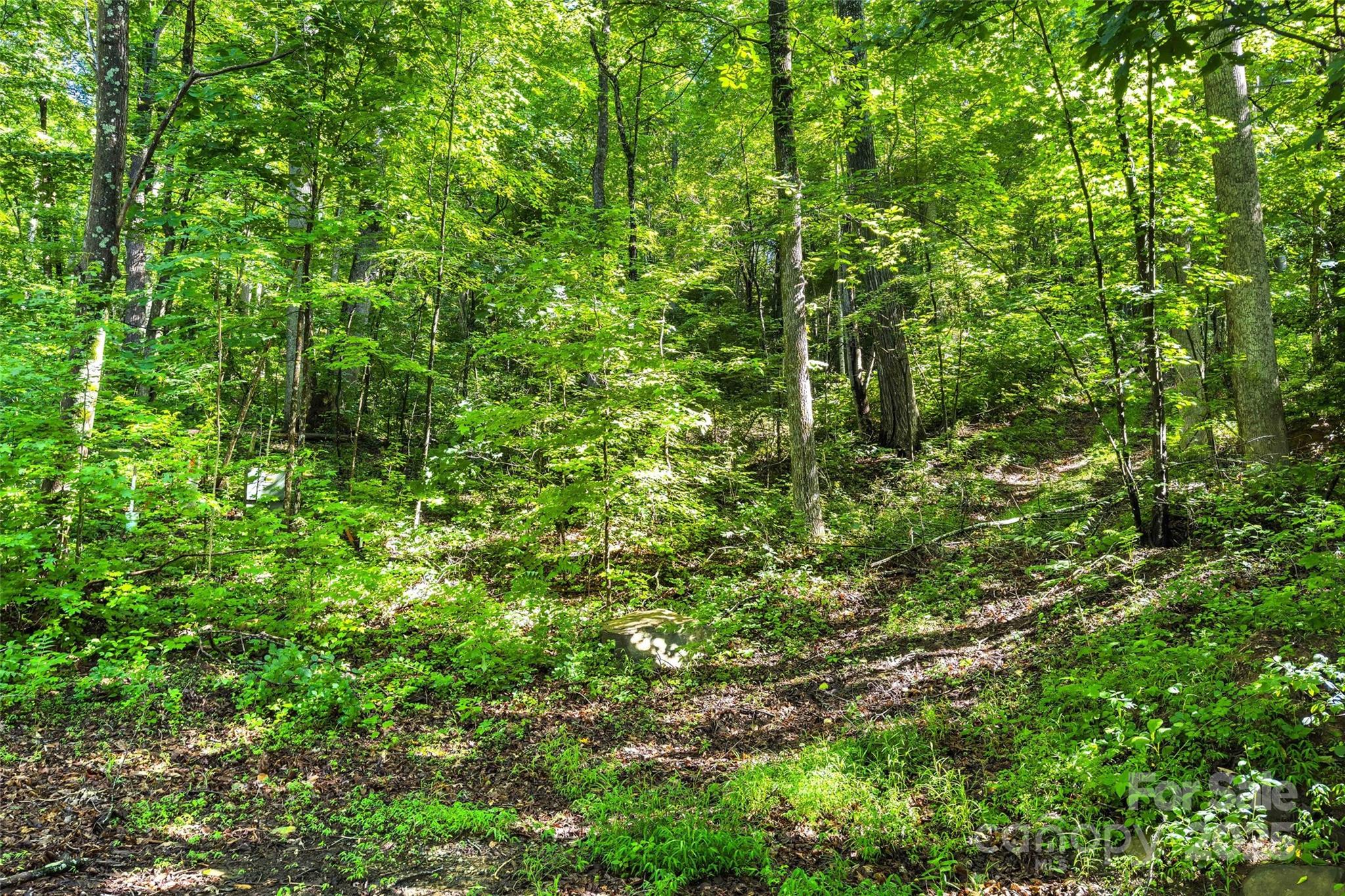 Lot #76 Hunnicut Spur Road Property Photo 6