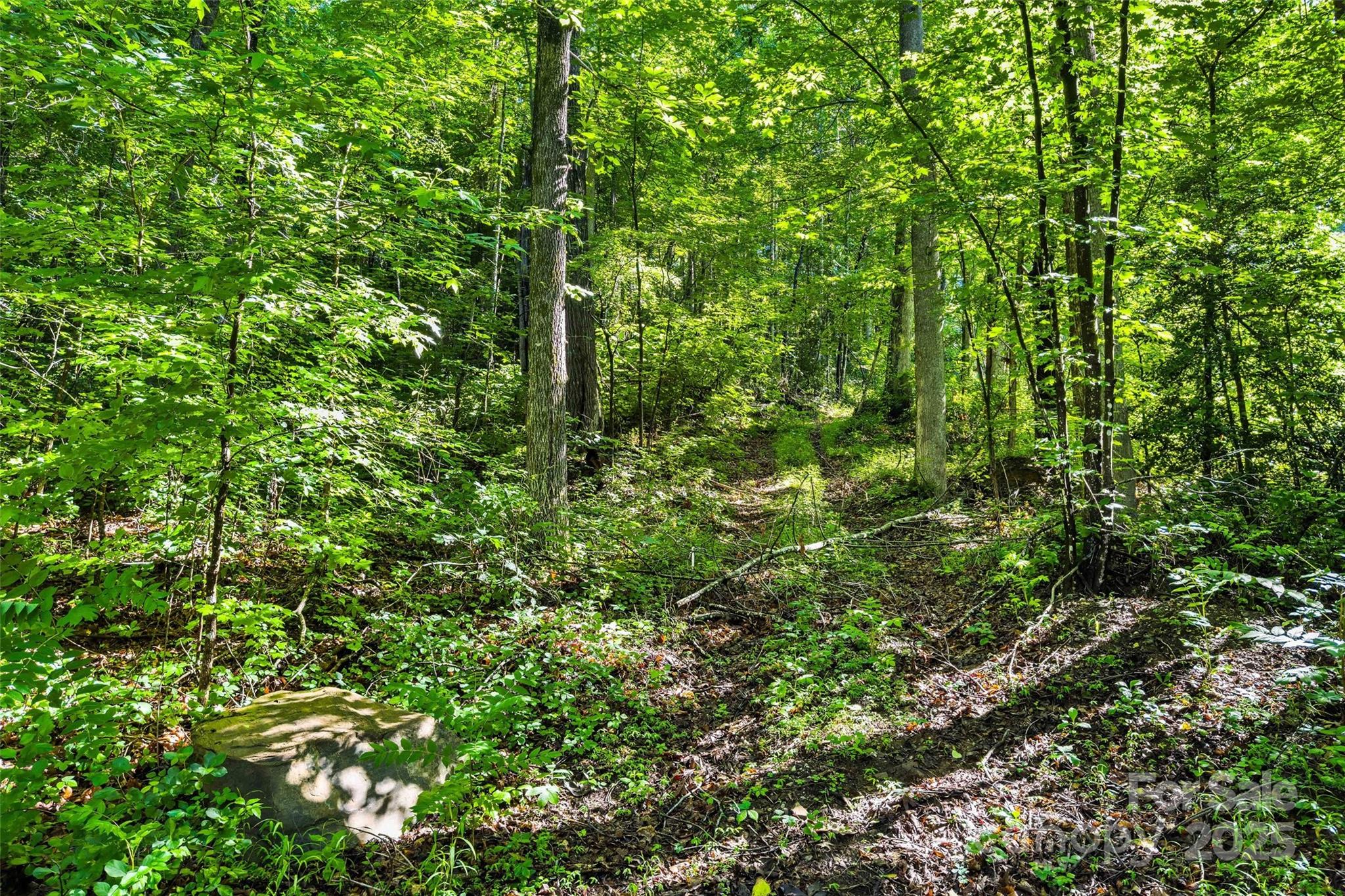 Lot #76 Hunnicut Spur Road Property Photo 8