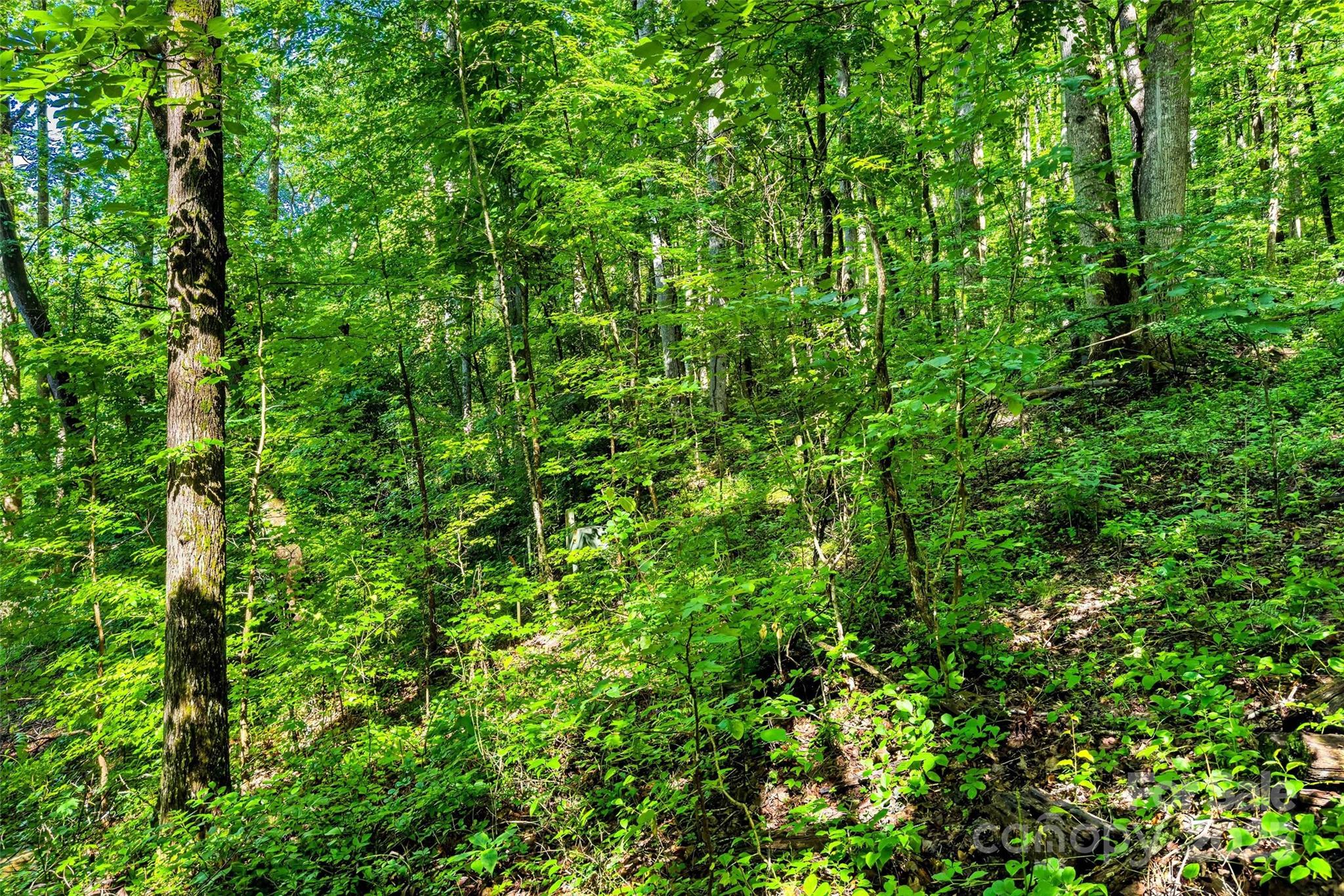 Lot #76 Hunnicut Spur Road Property Photo 9