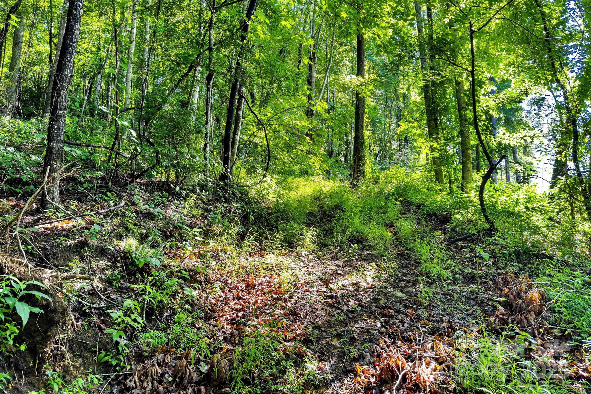Lot #76 Hunnicut Spur Road Property Photo 10