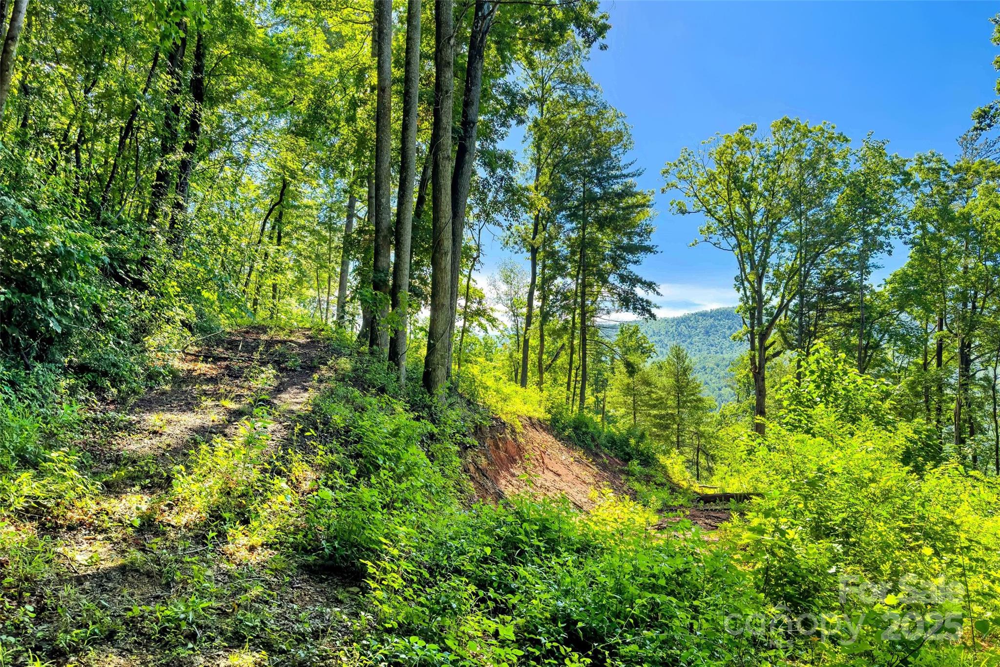 Lot #76 Hunnicut Spur Road Property Photo 11