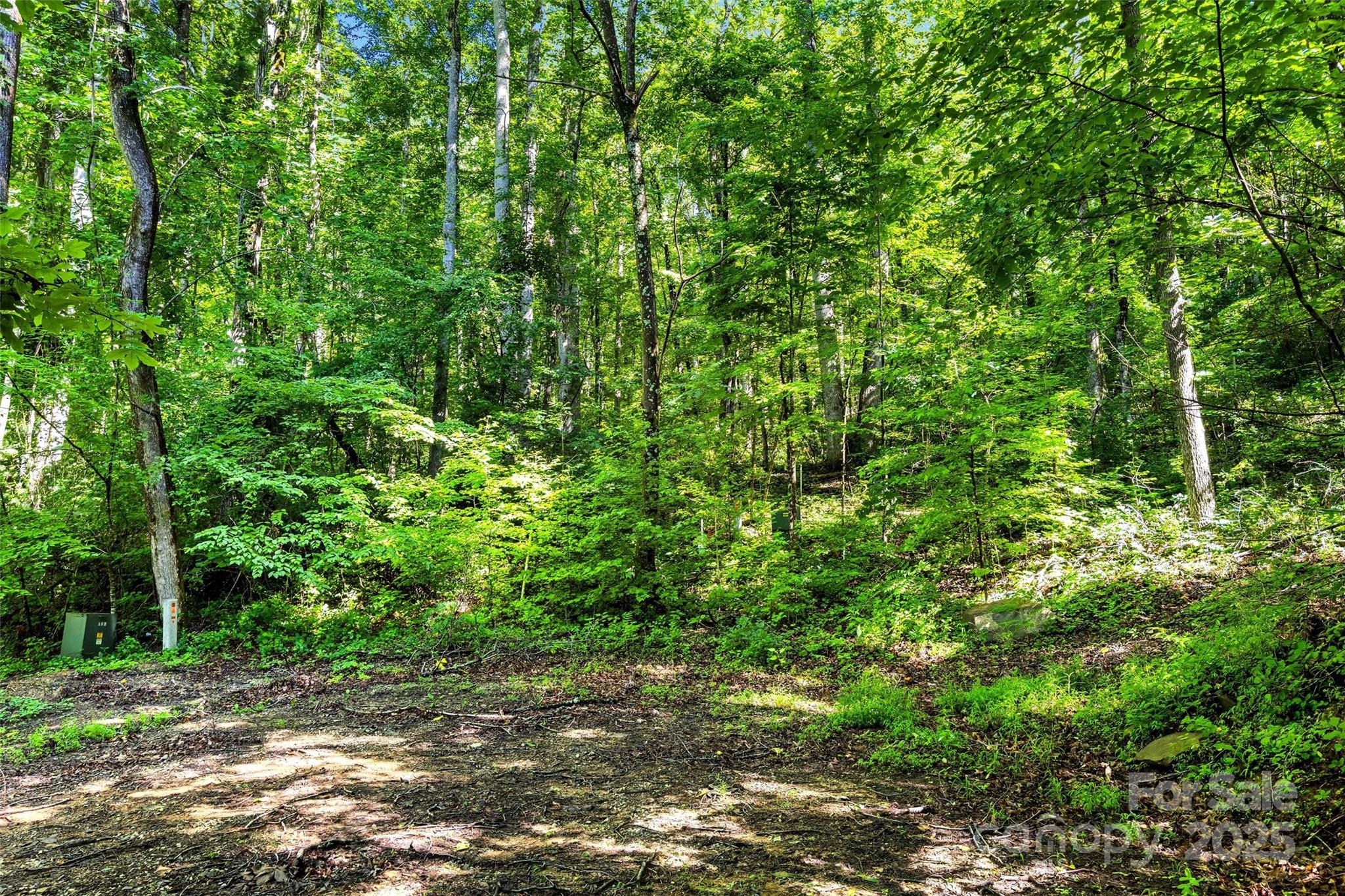 Lot #76 Hunnicut Spur Road Property Photo 12
