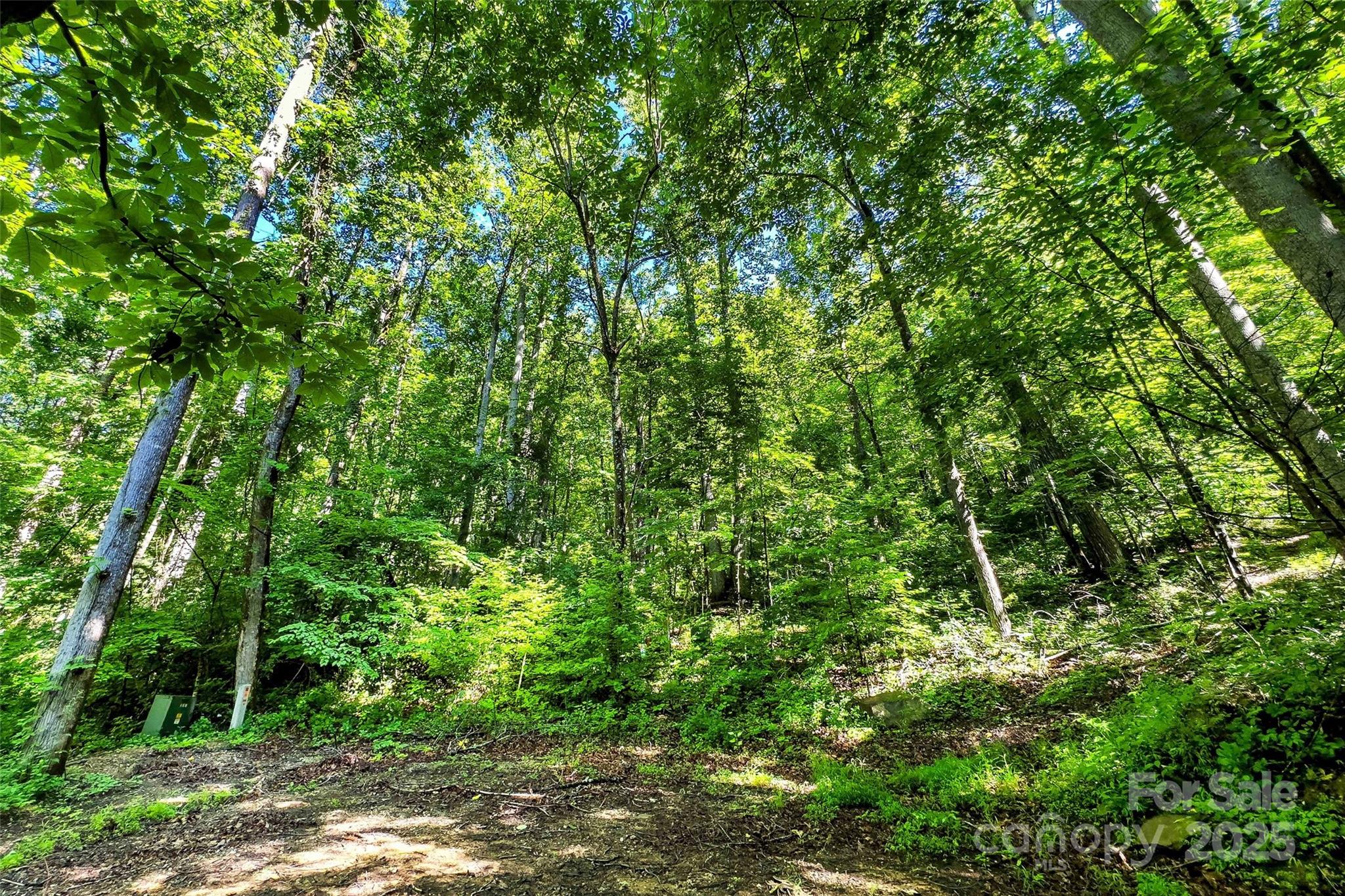 Lot #76 Hunnicut Spur Road Property Photo 13