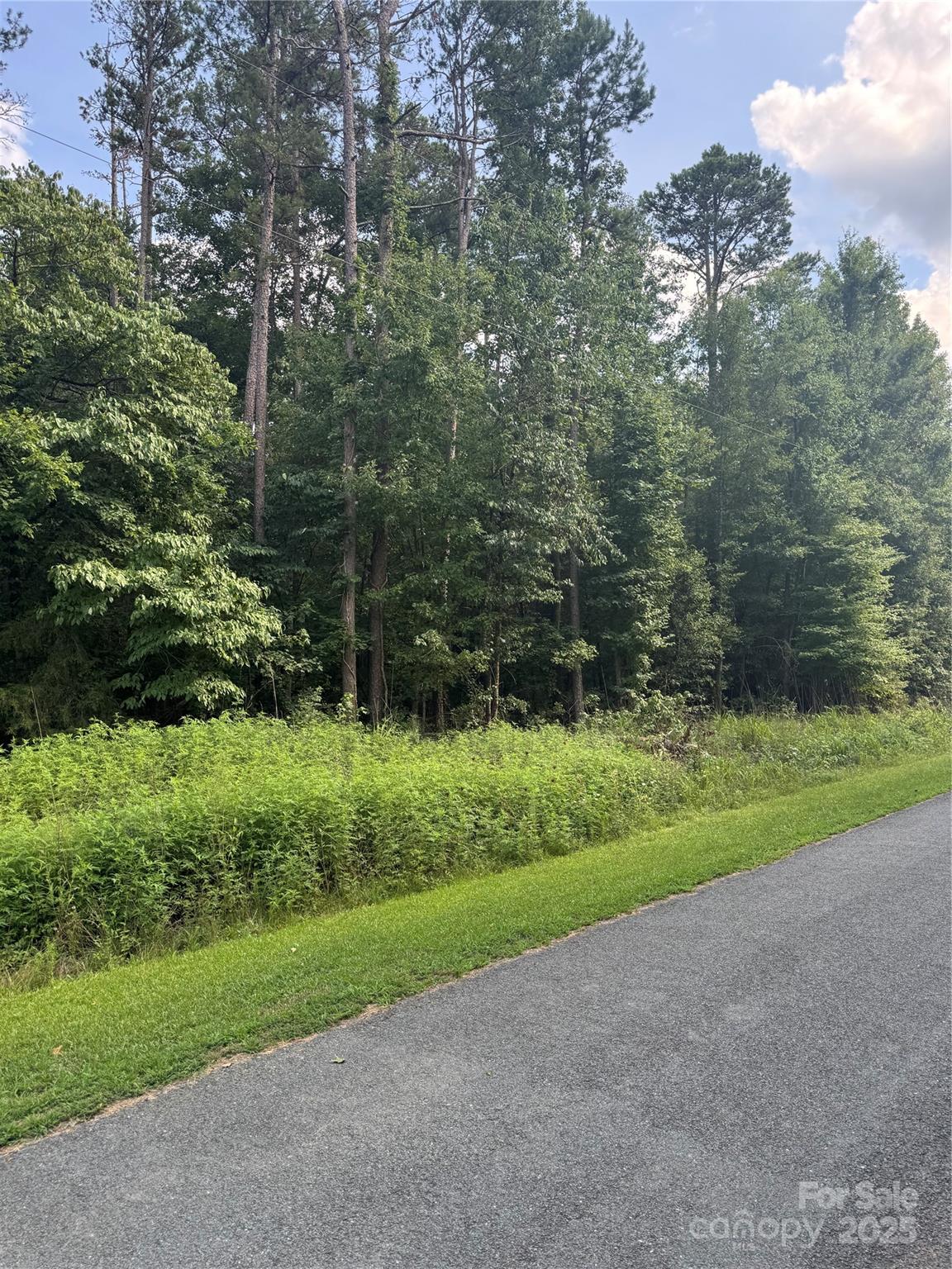 00 Raymond Helms Road Property Photo