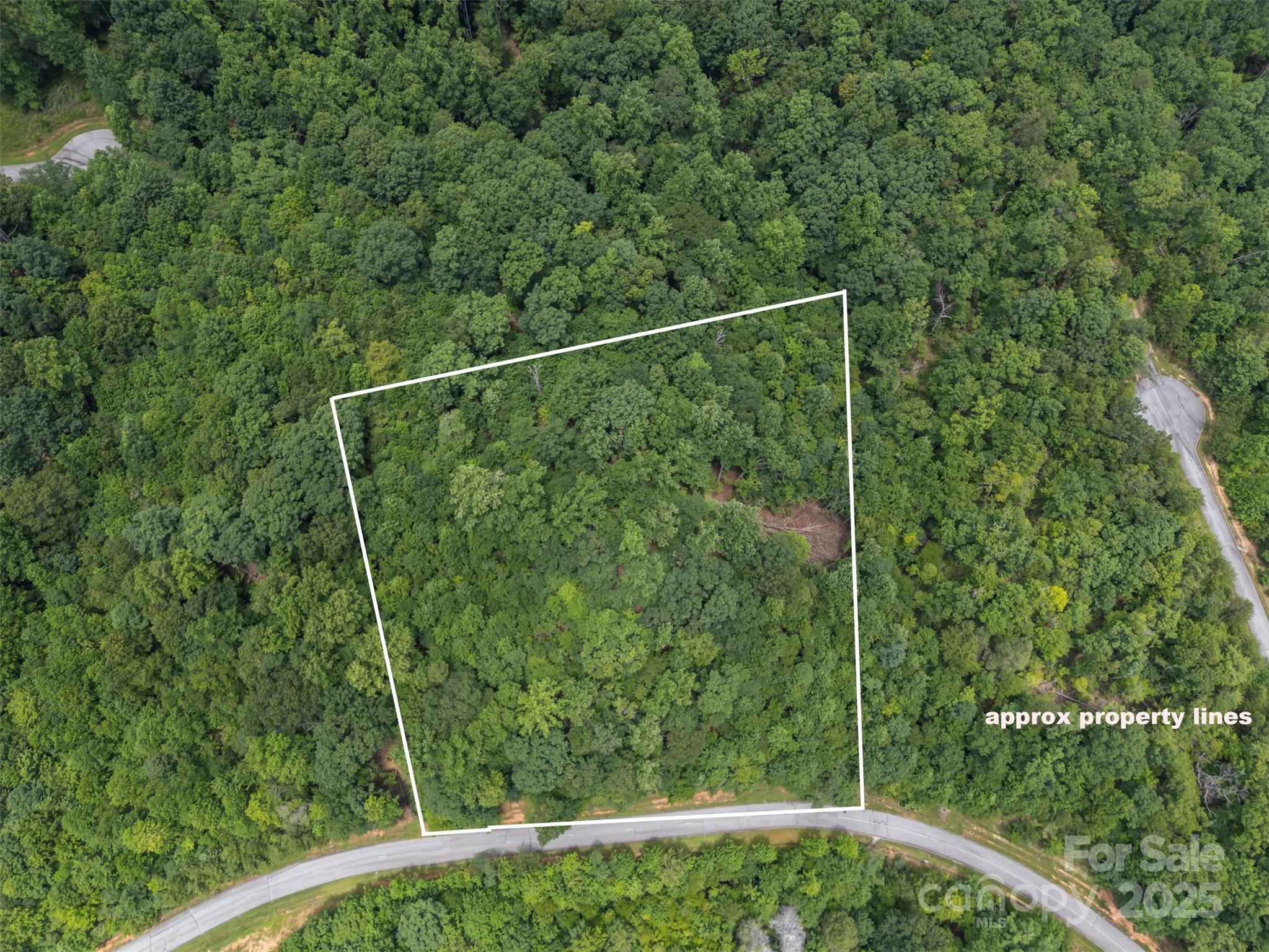 000 Deep Gap Farm Road Property Photo 2
