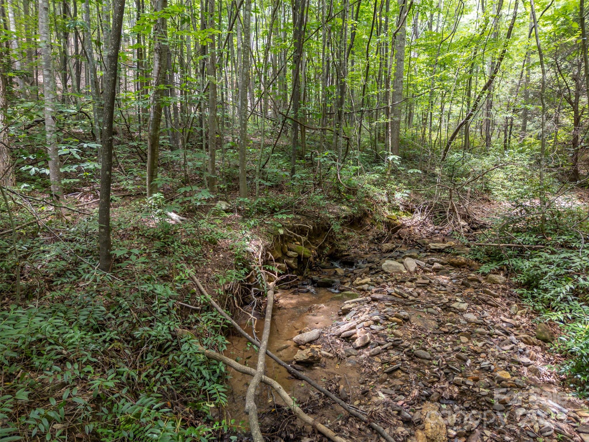 000 Deep Gap Farm Road Property Photo 3