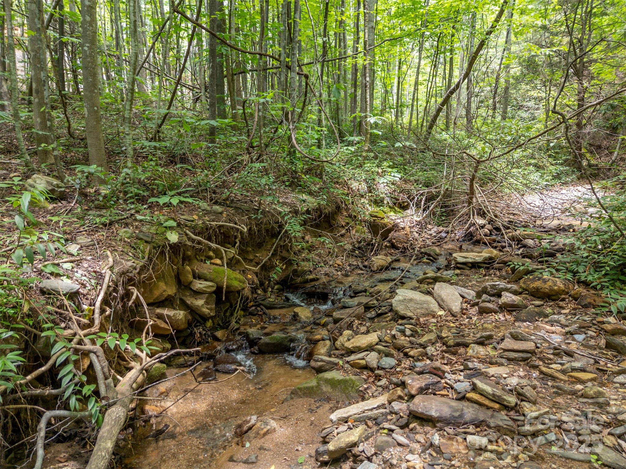 000 Deep Gap Farm Road Property Photo 4