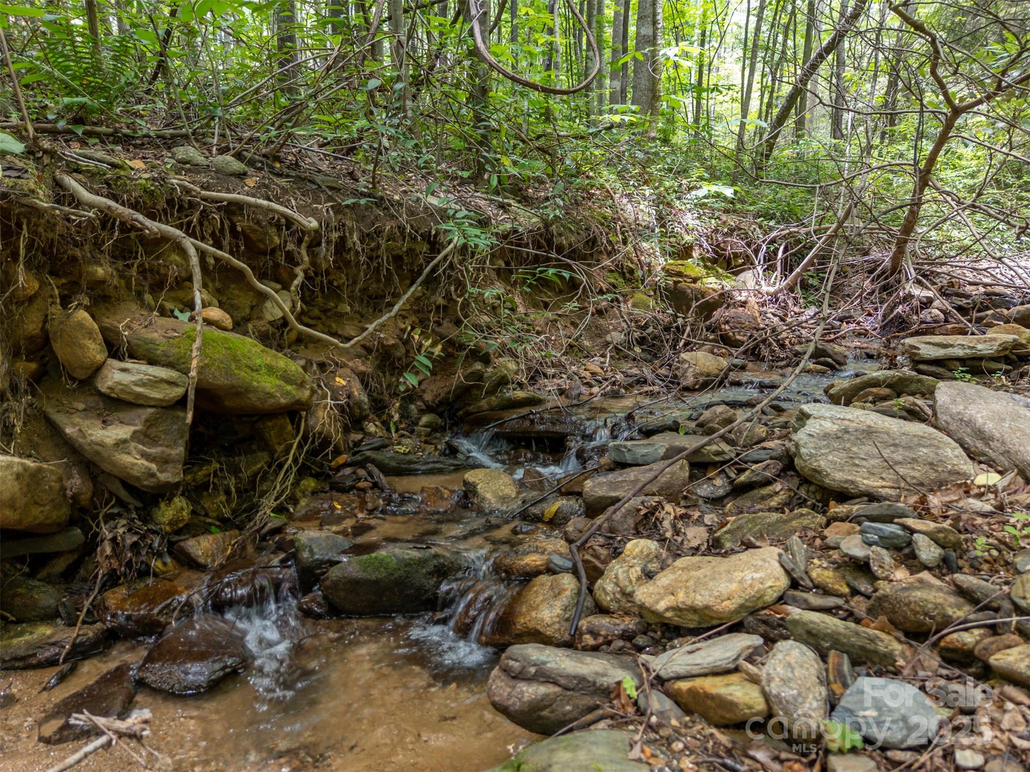 000 Deep Gap Farm Road Property Photo 5