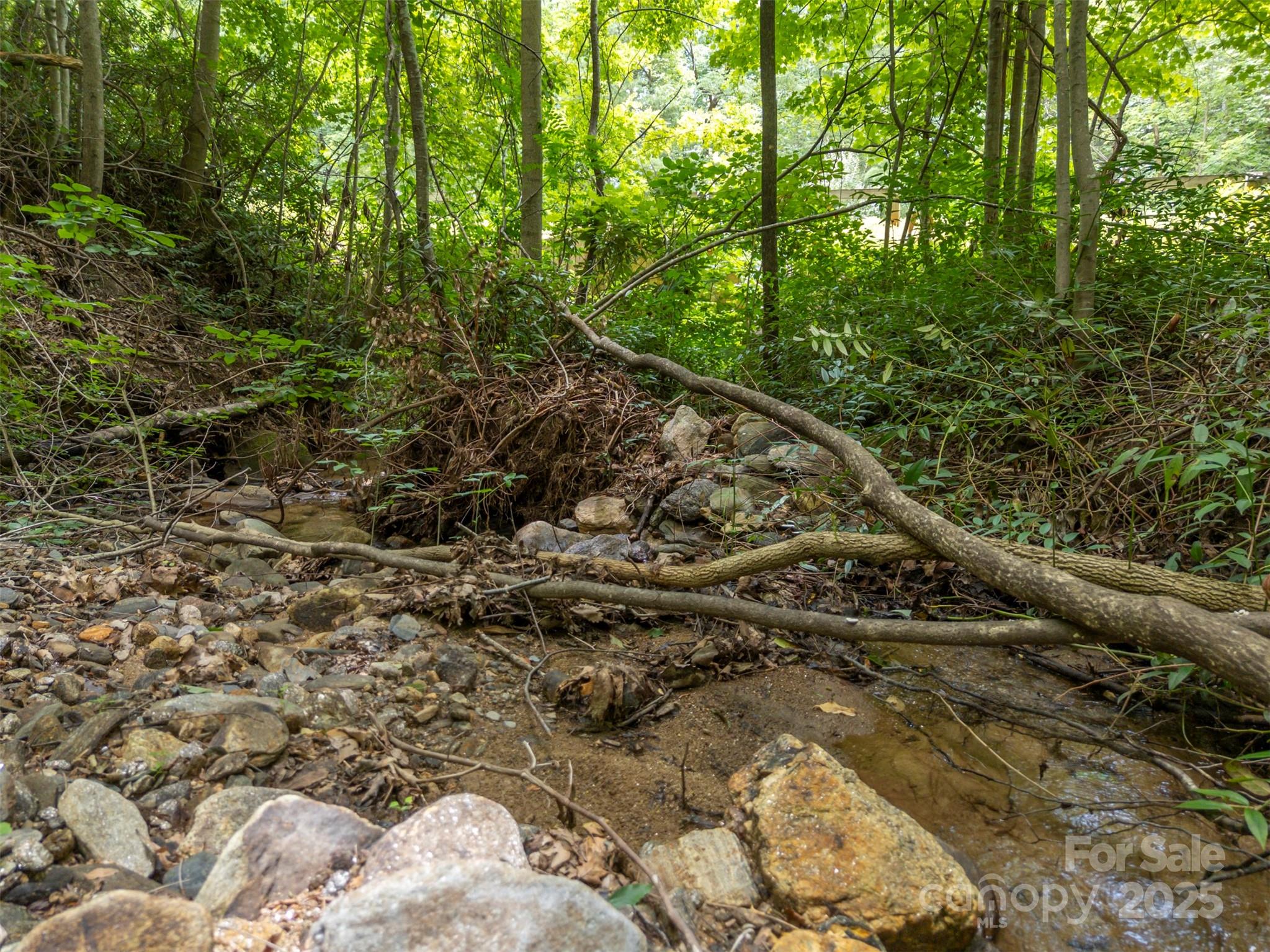 000 Deep Gap Farm Road Property Photo 6