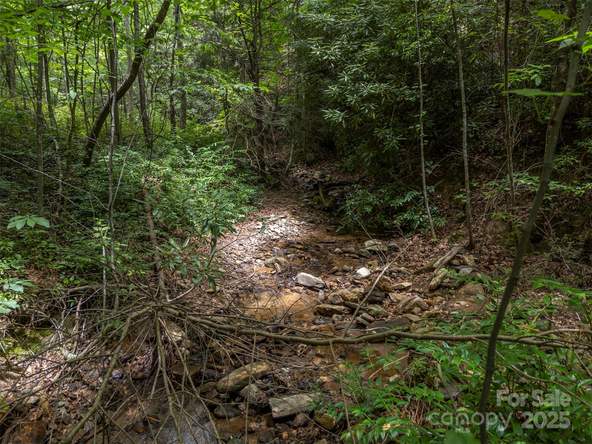 000 Deep Gap Farm Road Property Photo 7