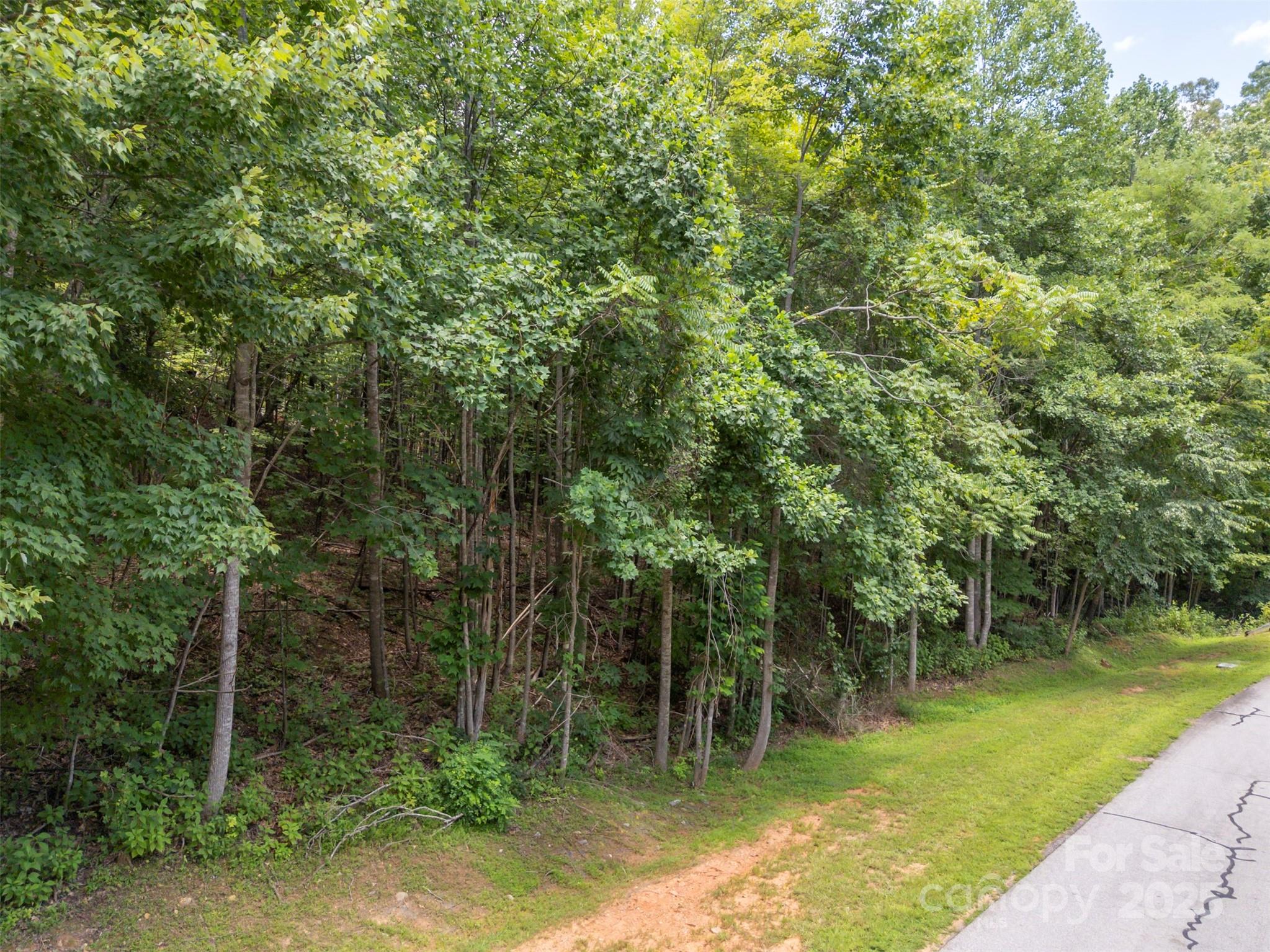 000 Deep Gap Farm Road Property Photo 9