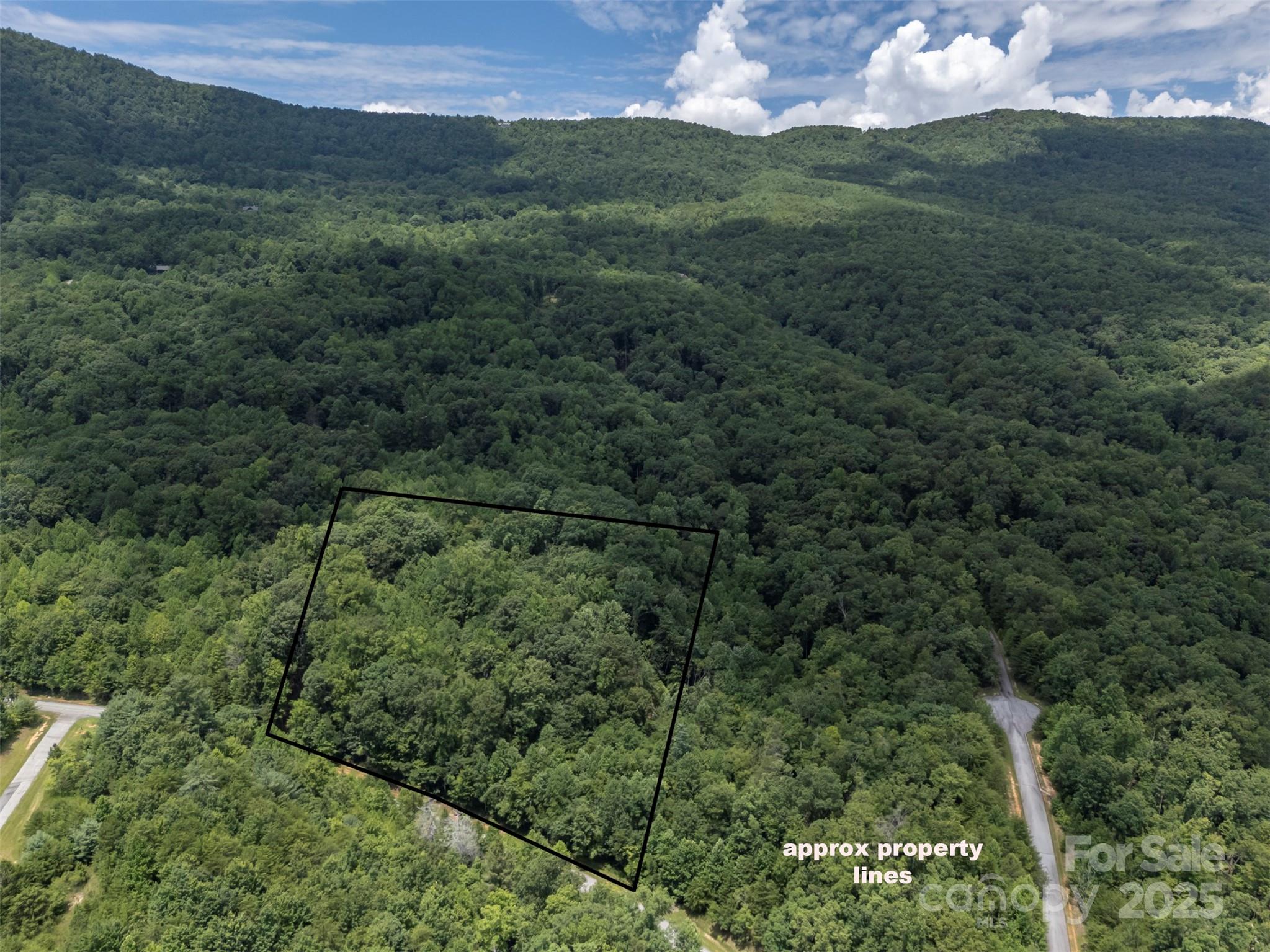 000 Deep Gap Farm Road Property Photo 12