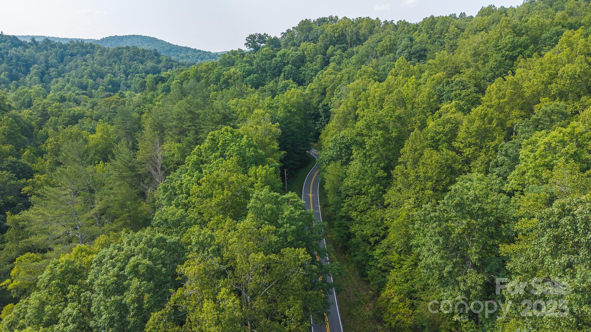 0 Brushy Mtn Road Property Photo 1