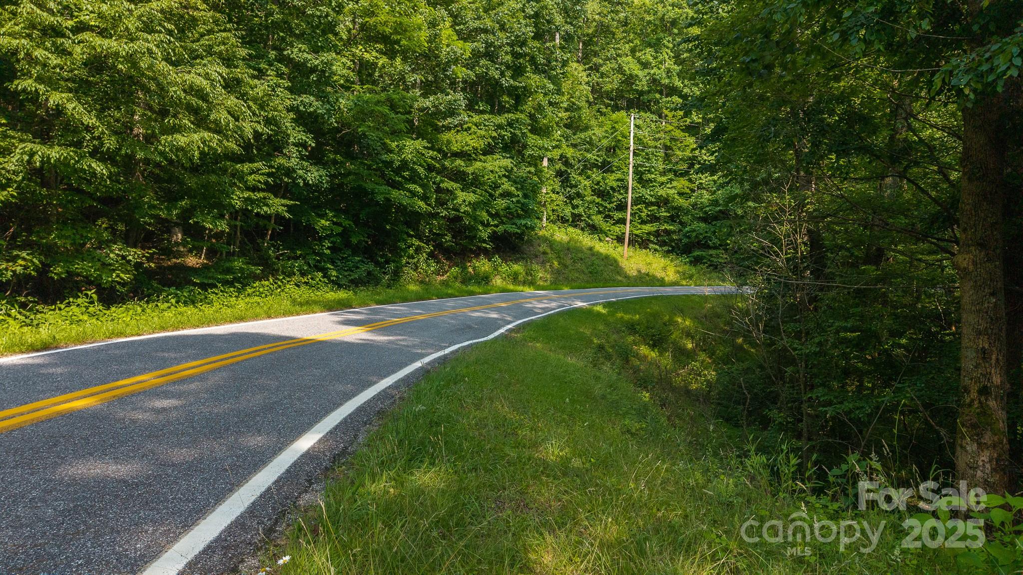0 Brushy Mtn Road Property Photo 2