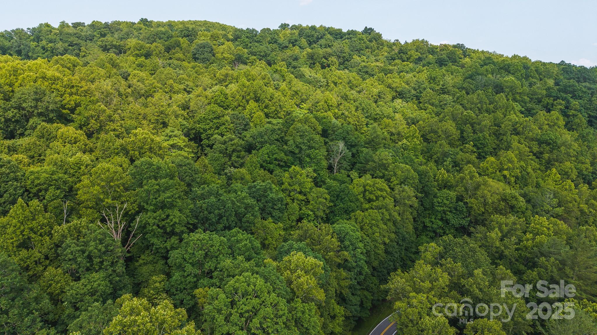 0 Brushy Mtn Road Property Photo 12