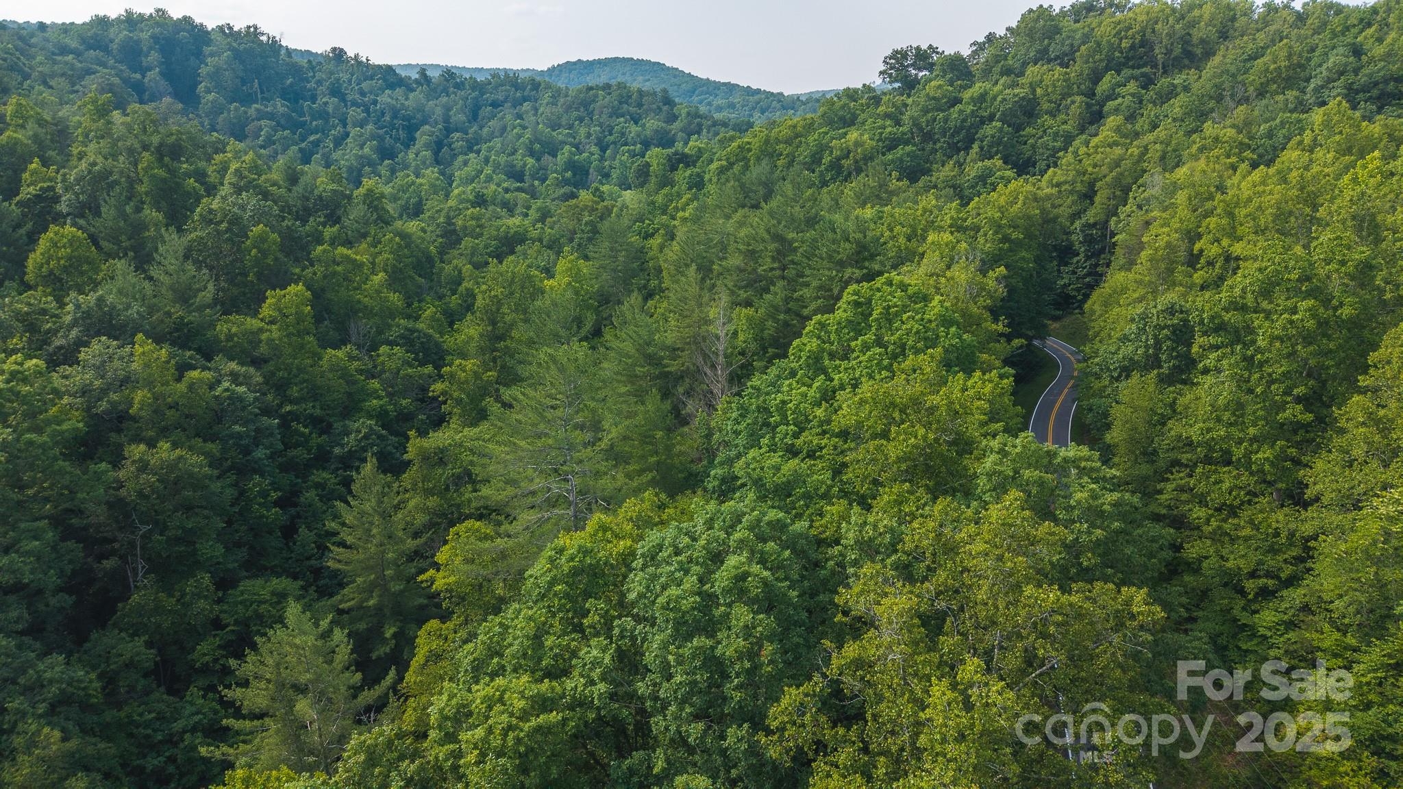 0 Brushy Mtn Road Property Photo 16
