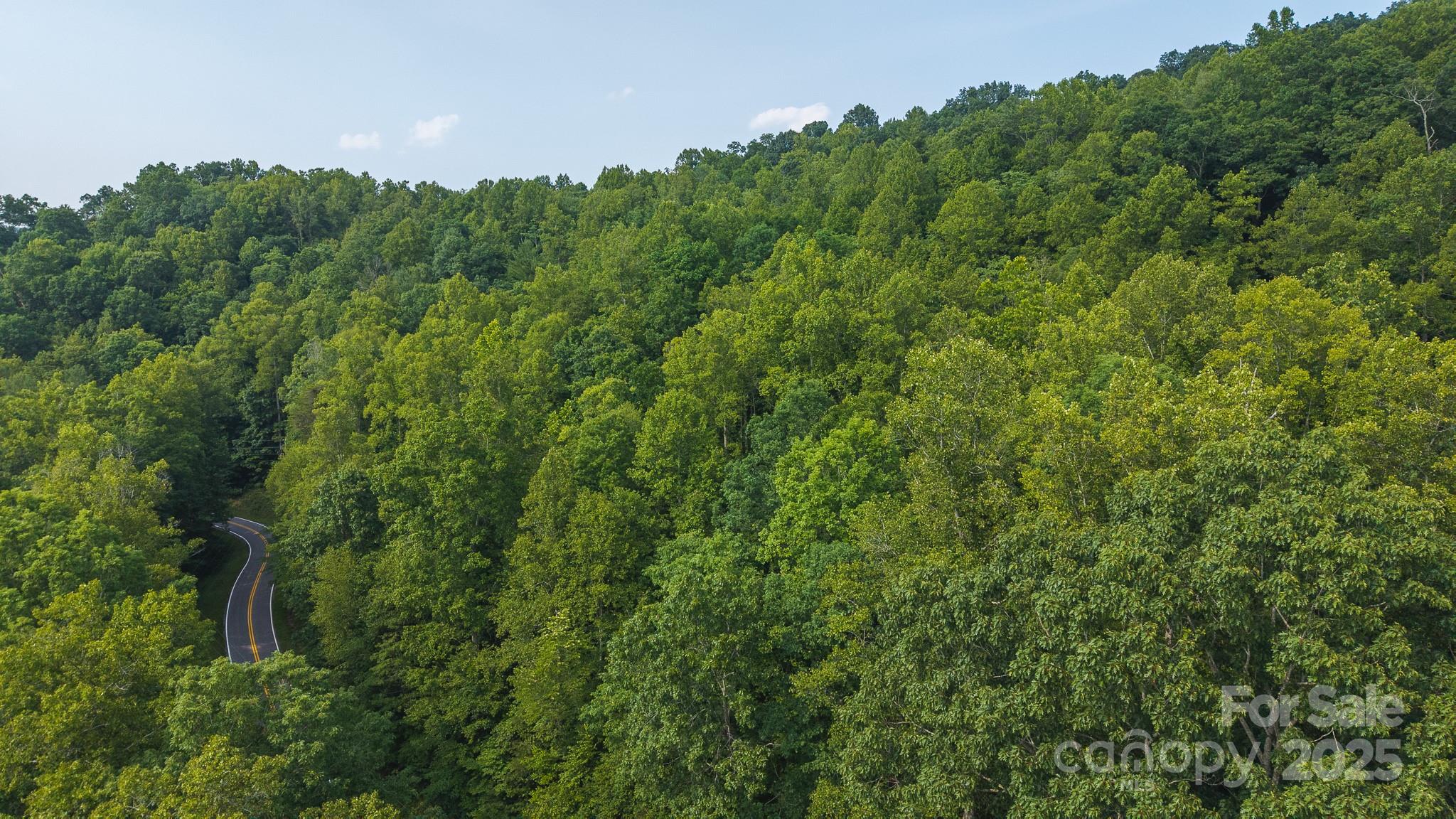 0 Brushy Mtn Road Property Photo 17