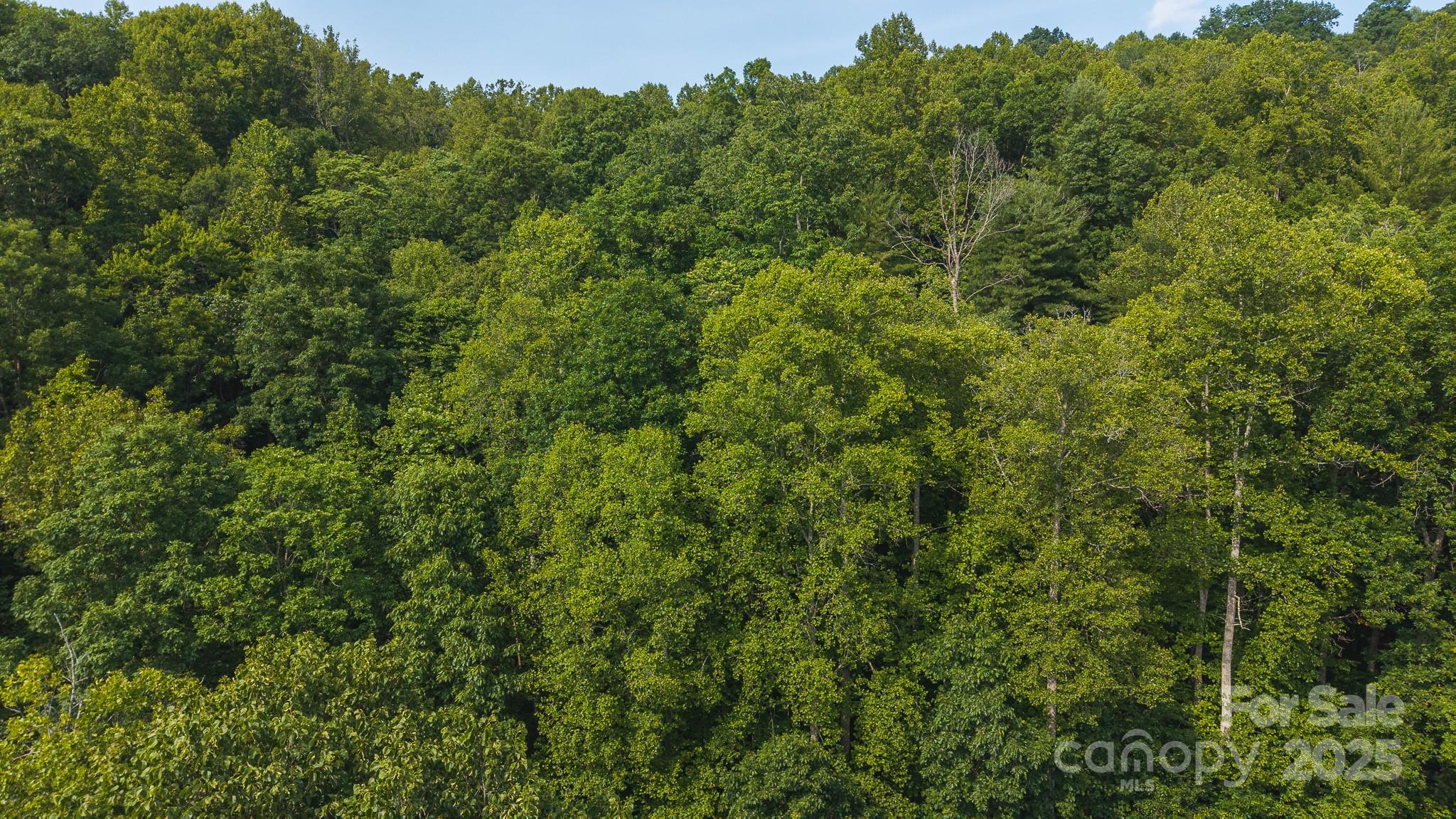 0 Brushy Mtn Road Property Photo 18