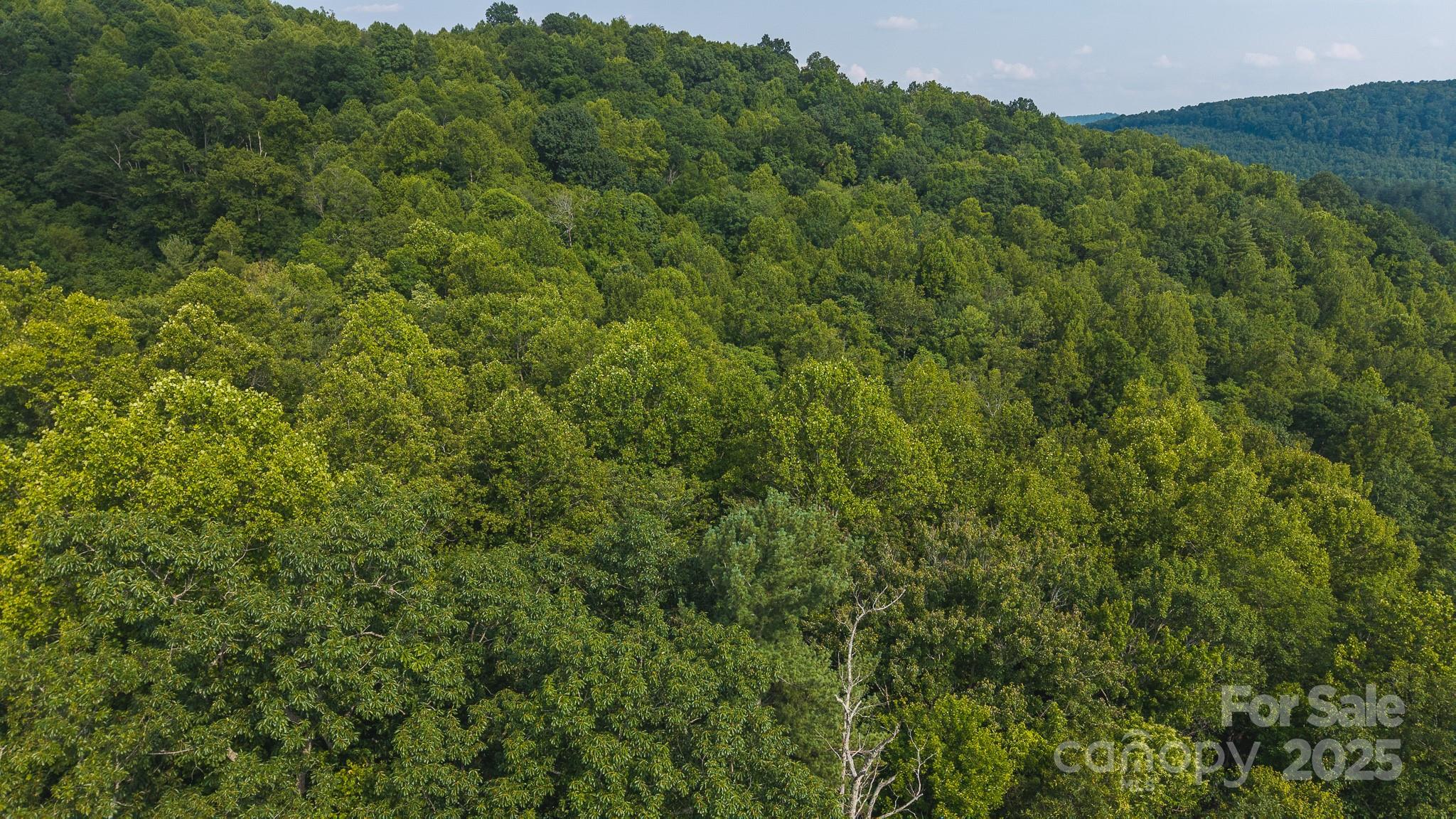 0 Brushy Mtn Road Property Photo 19