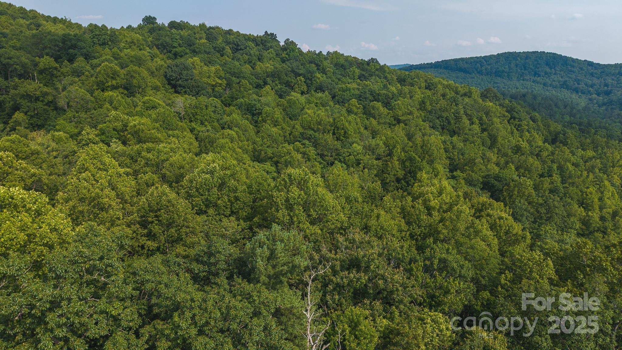 0 Brushy Mtn Road Property Photo 20