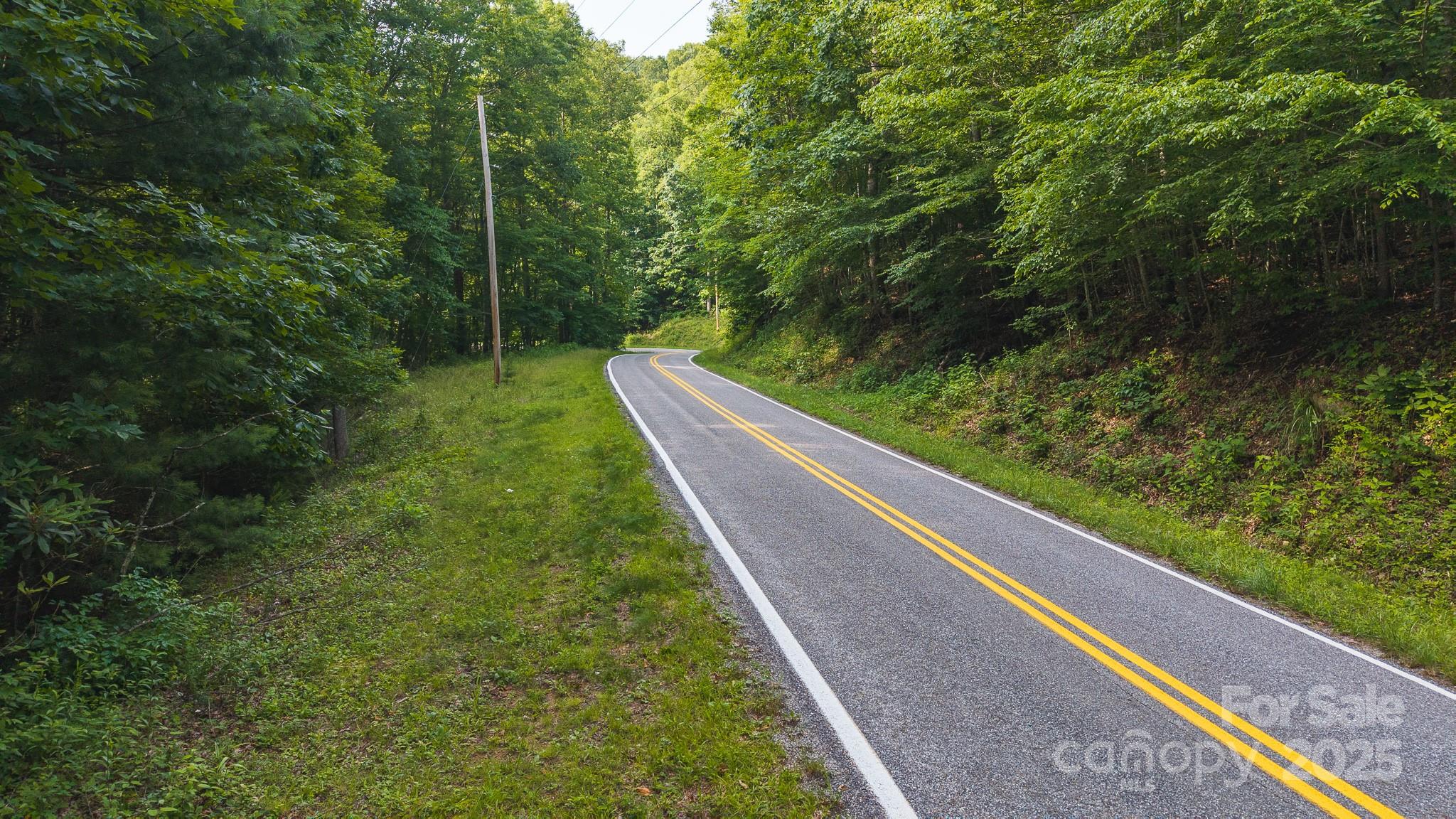 0 Brushy Mtn Road Property Photo 23
