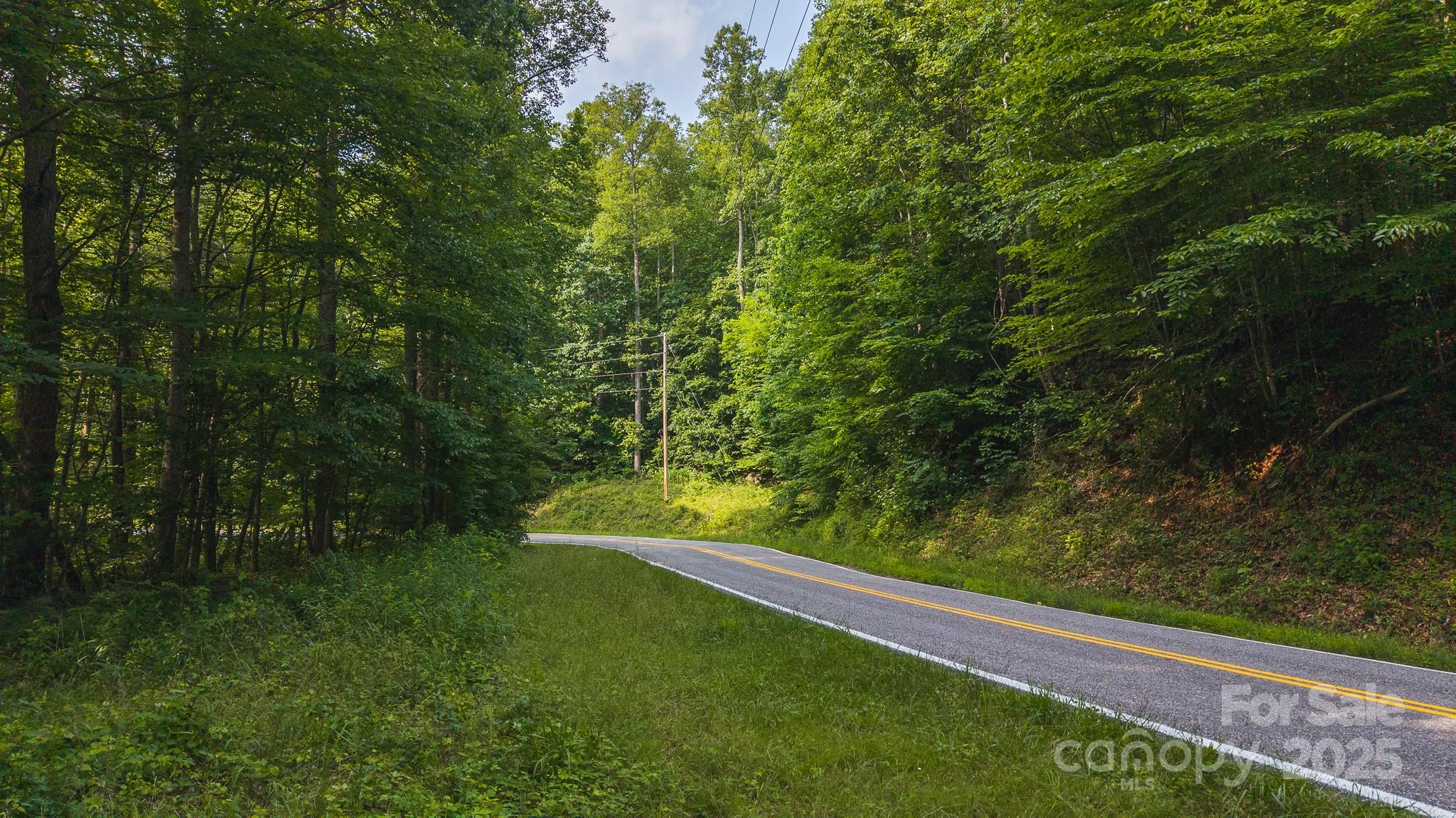 0 Brushy Mtn Road Property Photo 24