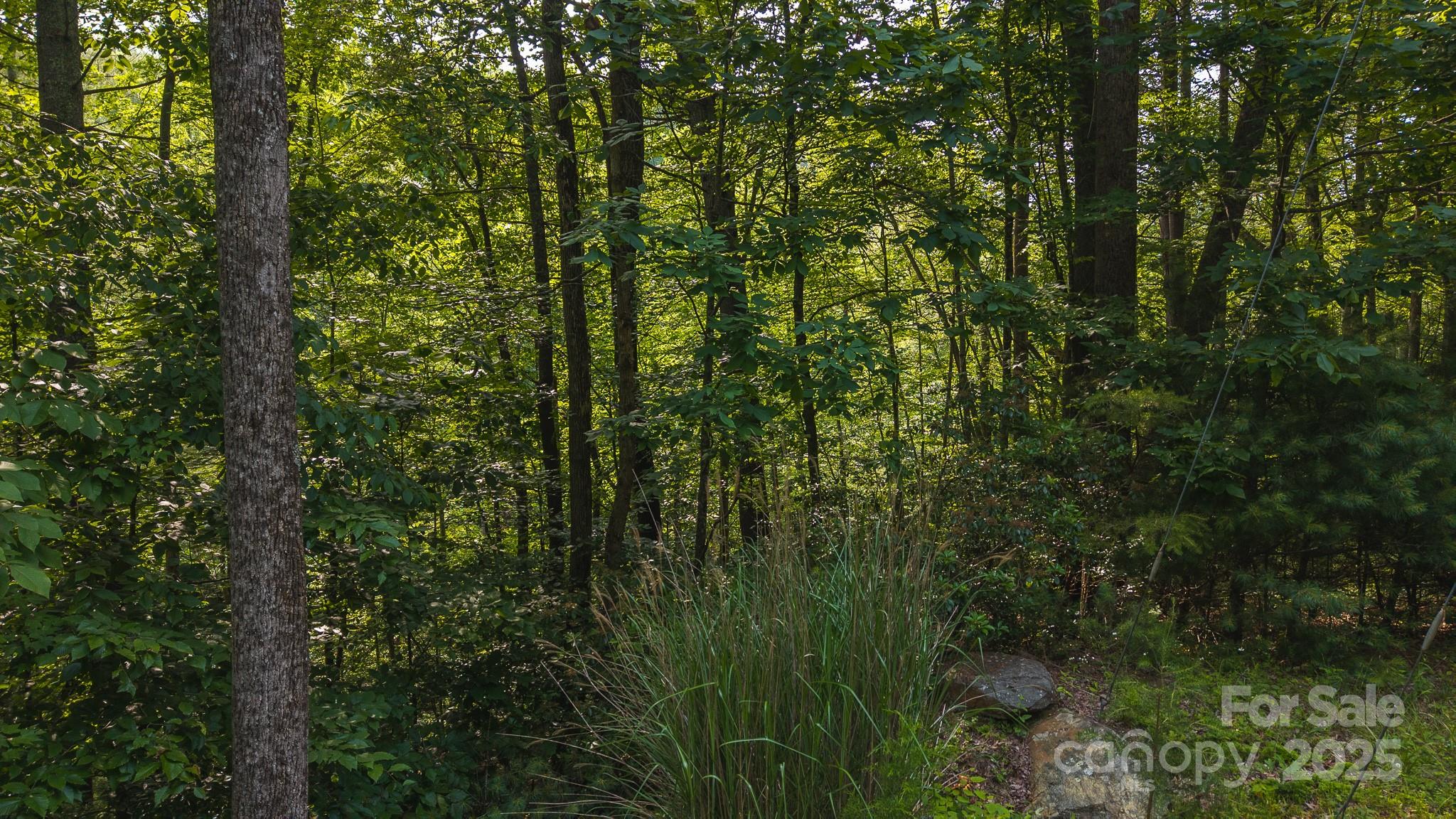 0 Brushy Mtn Road Property Photo 26