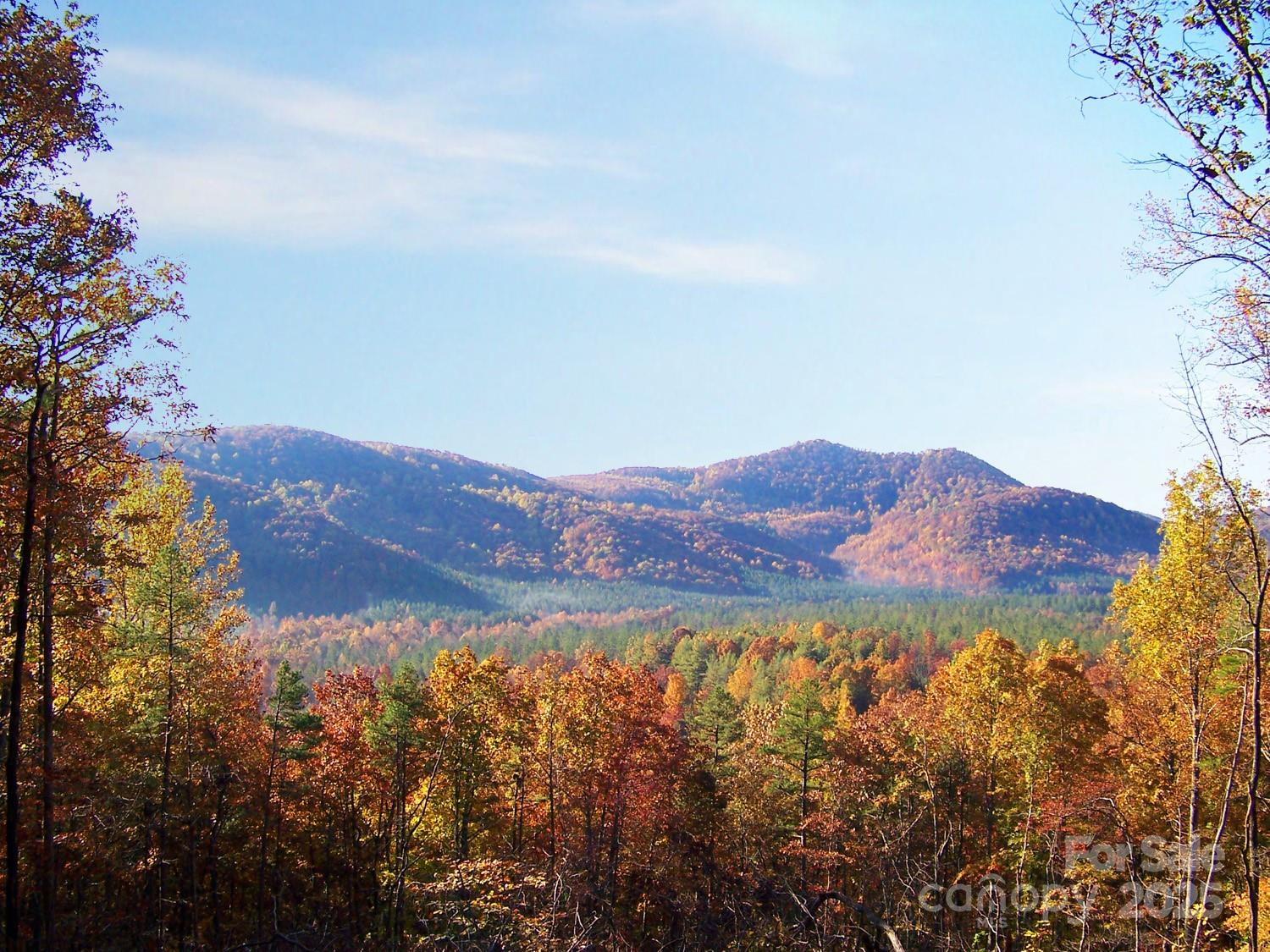 Lot 332 Scenic Vista Drive 332 Property Photo 1
