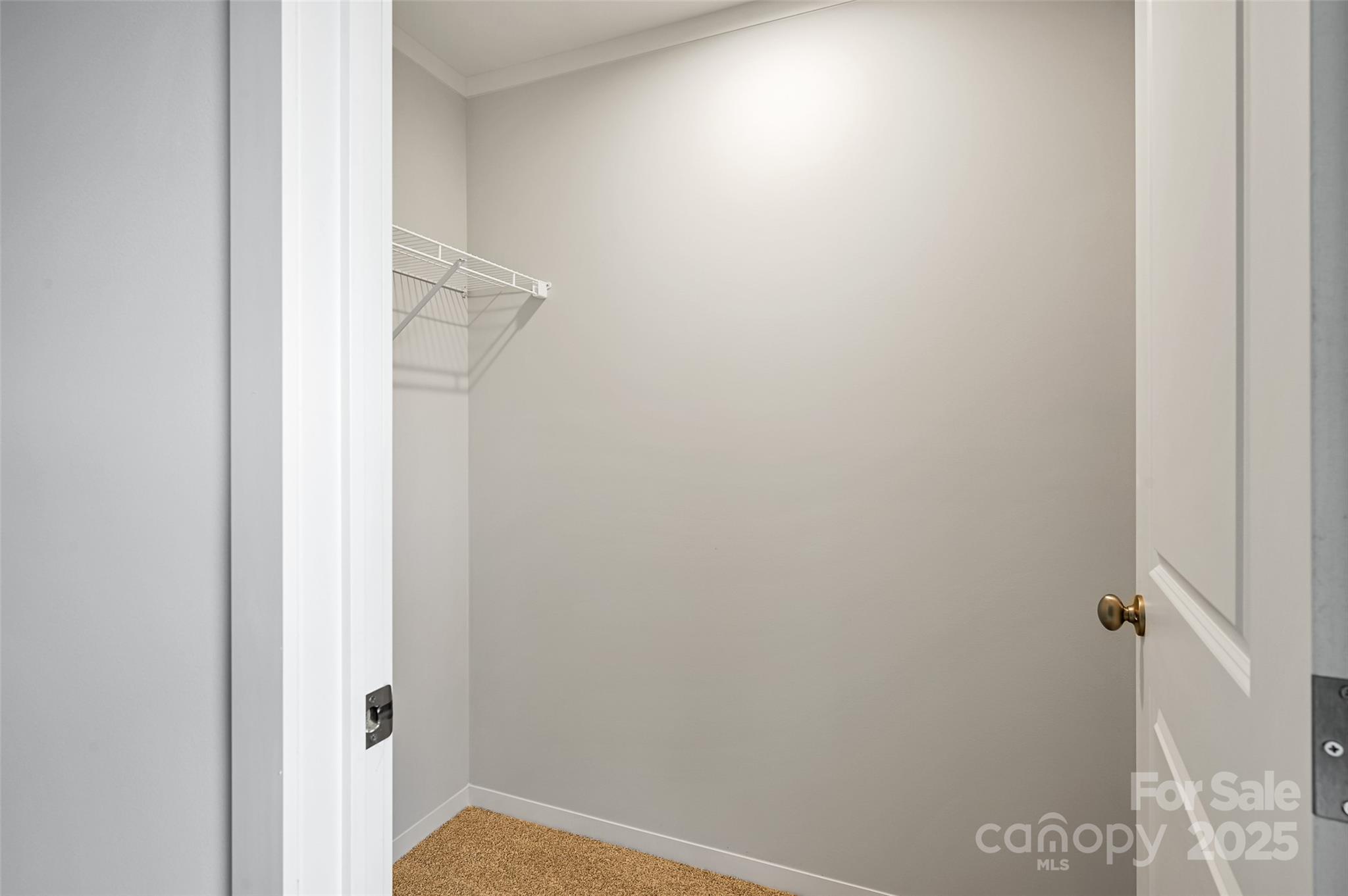 290 Appalachian Way Property Photo 19