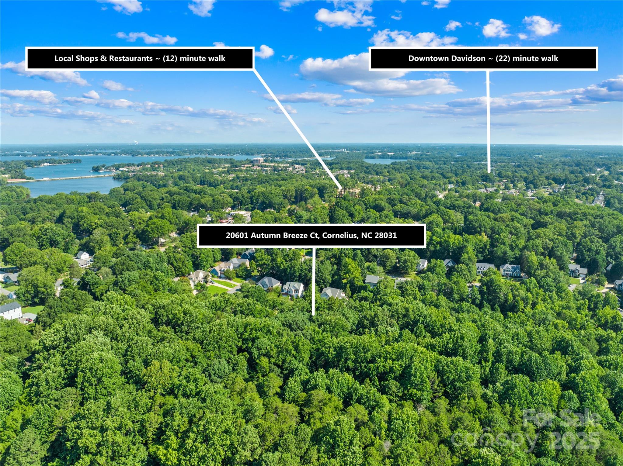 20601 Autumn Breeze Court Property Photo 39