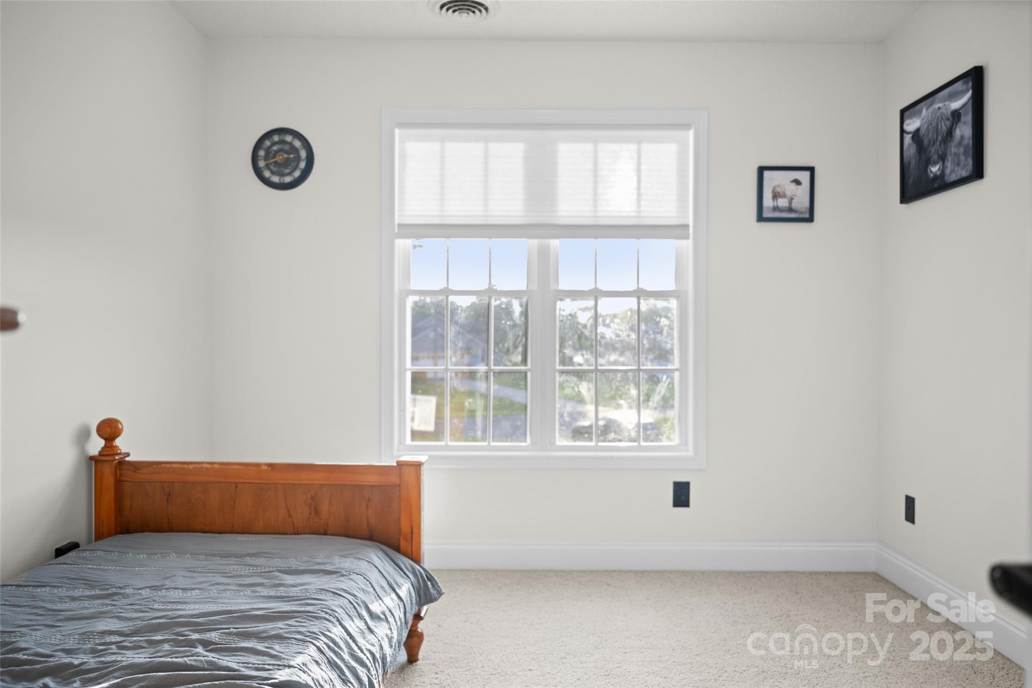 215 Birchwood Court Property Photo 22